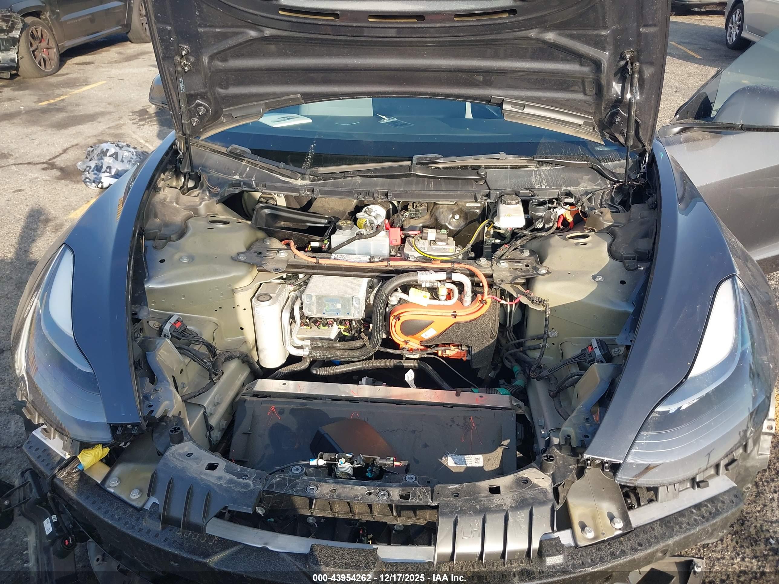 TESLA MODEL image 10