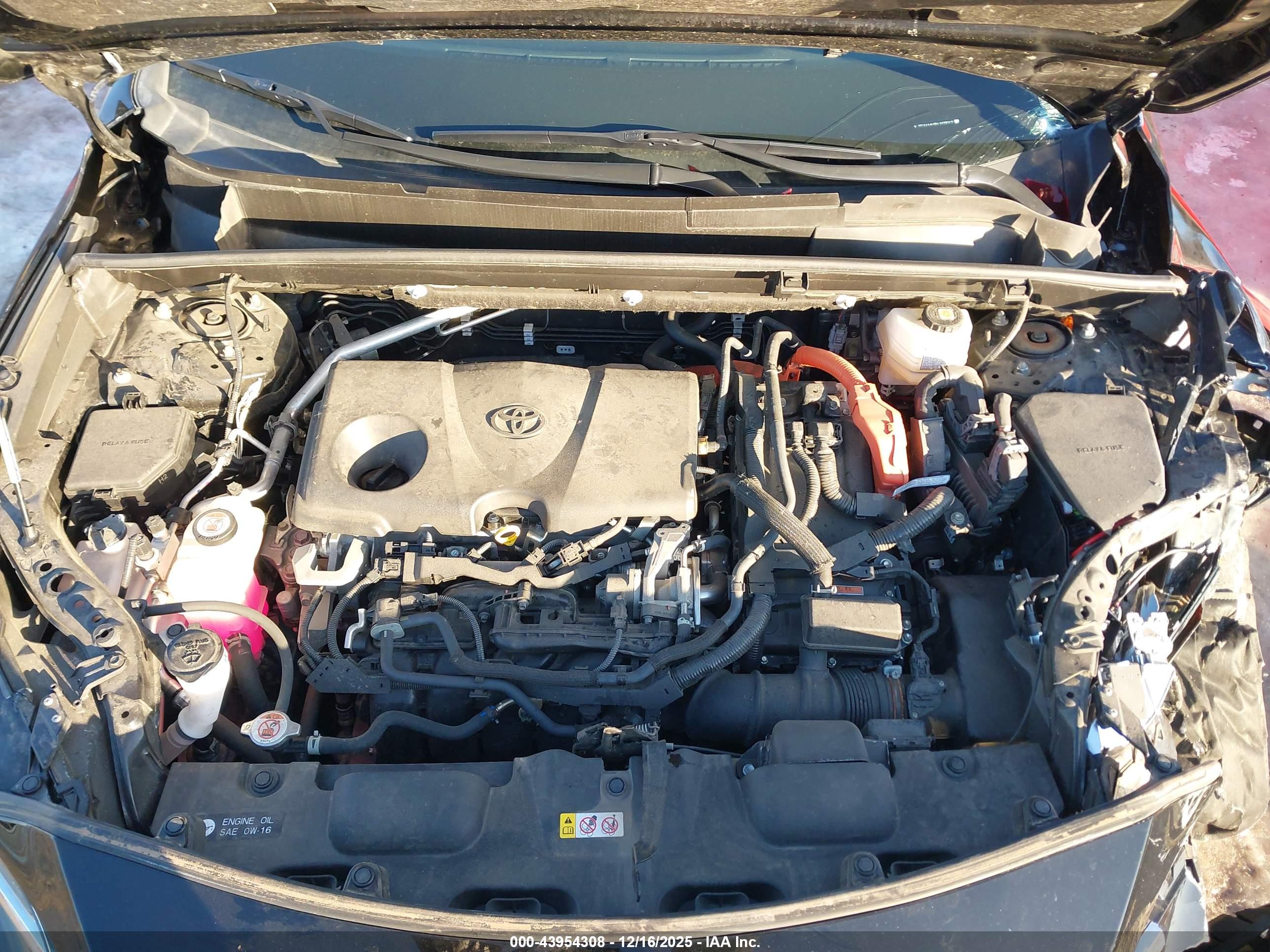 TOYOTA VENZA image 10