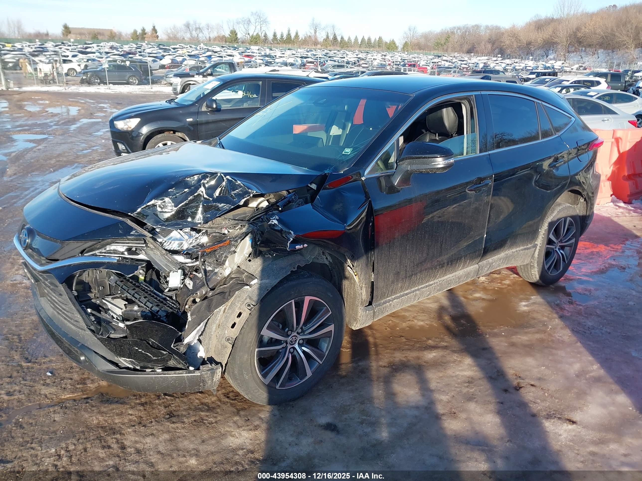 TOYOTA VENZA image 2