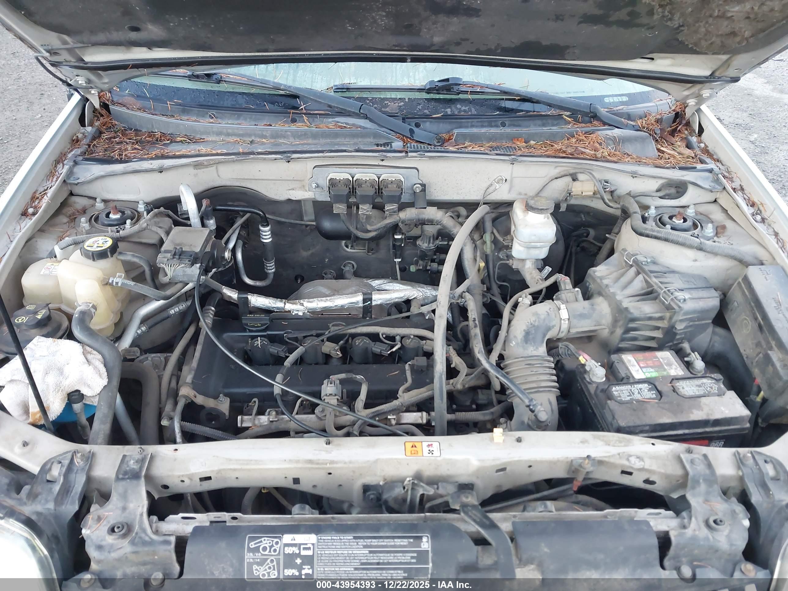 MERCURY MARINER image 10