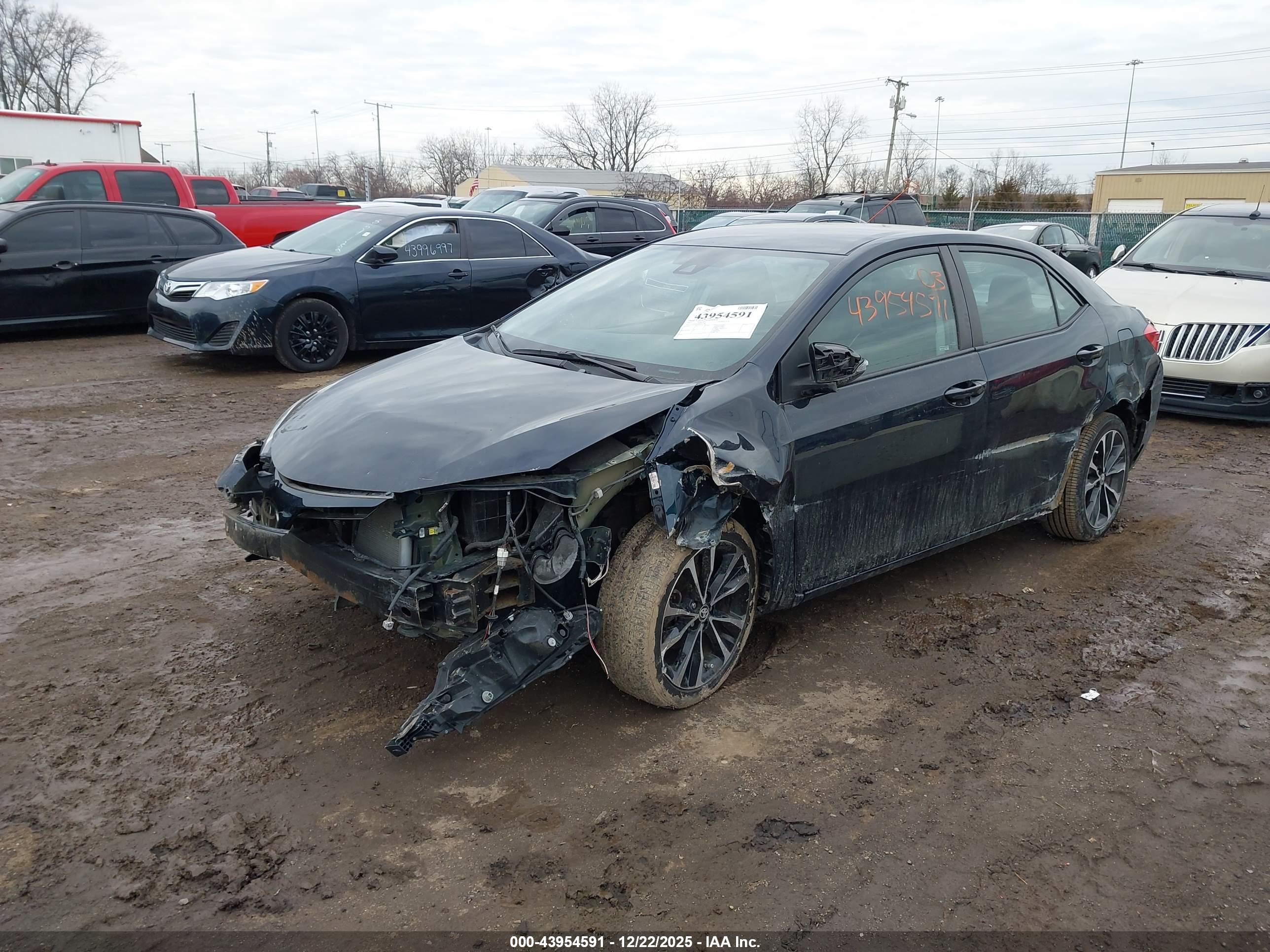TOYOTA COROLLA image 2