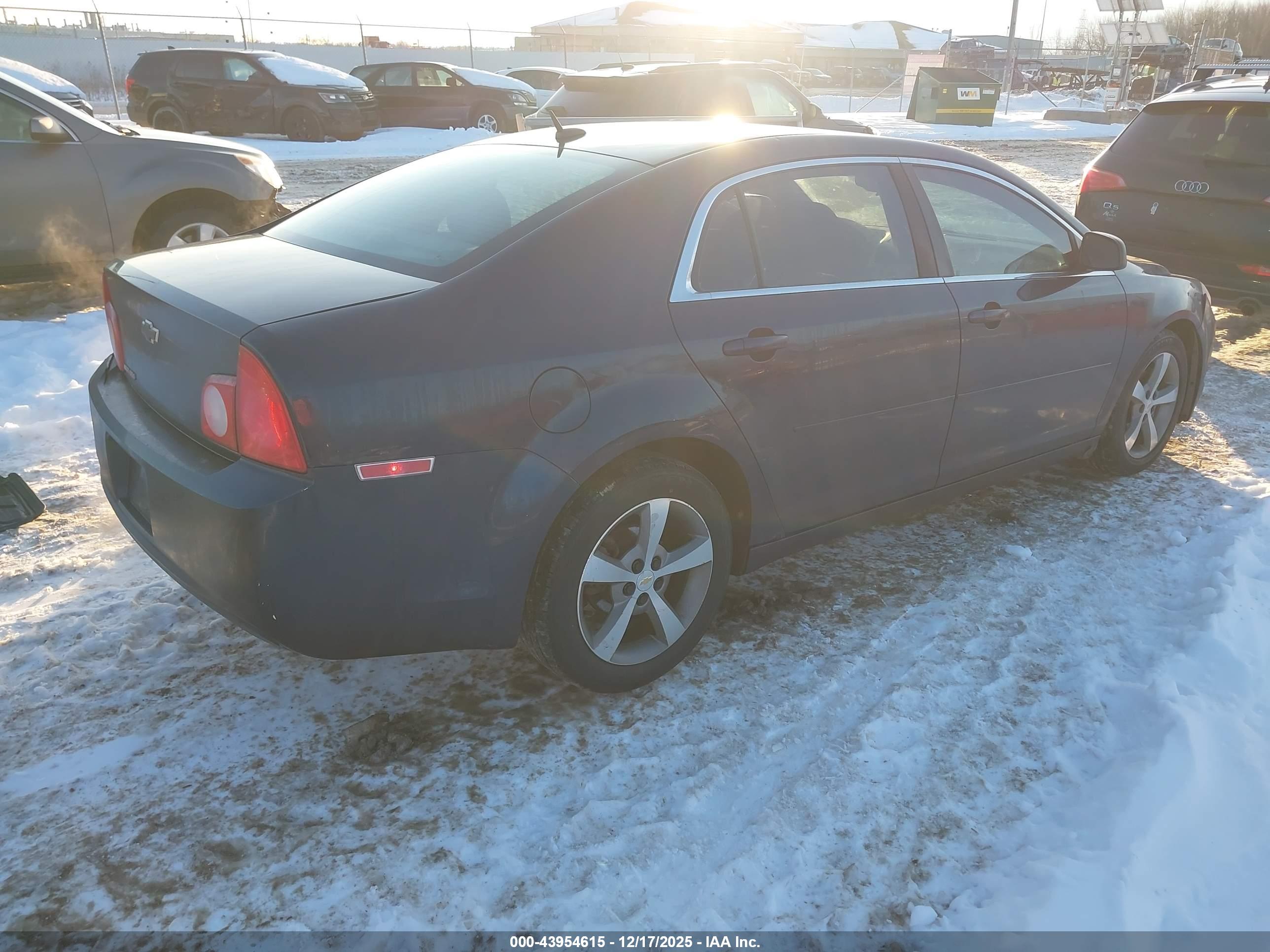 CHEVROLET MALIBU image 4