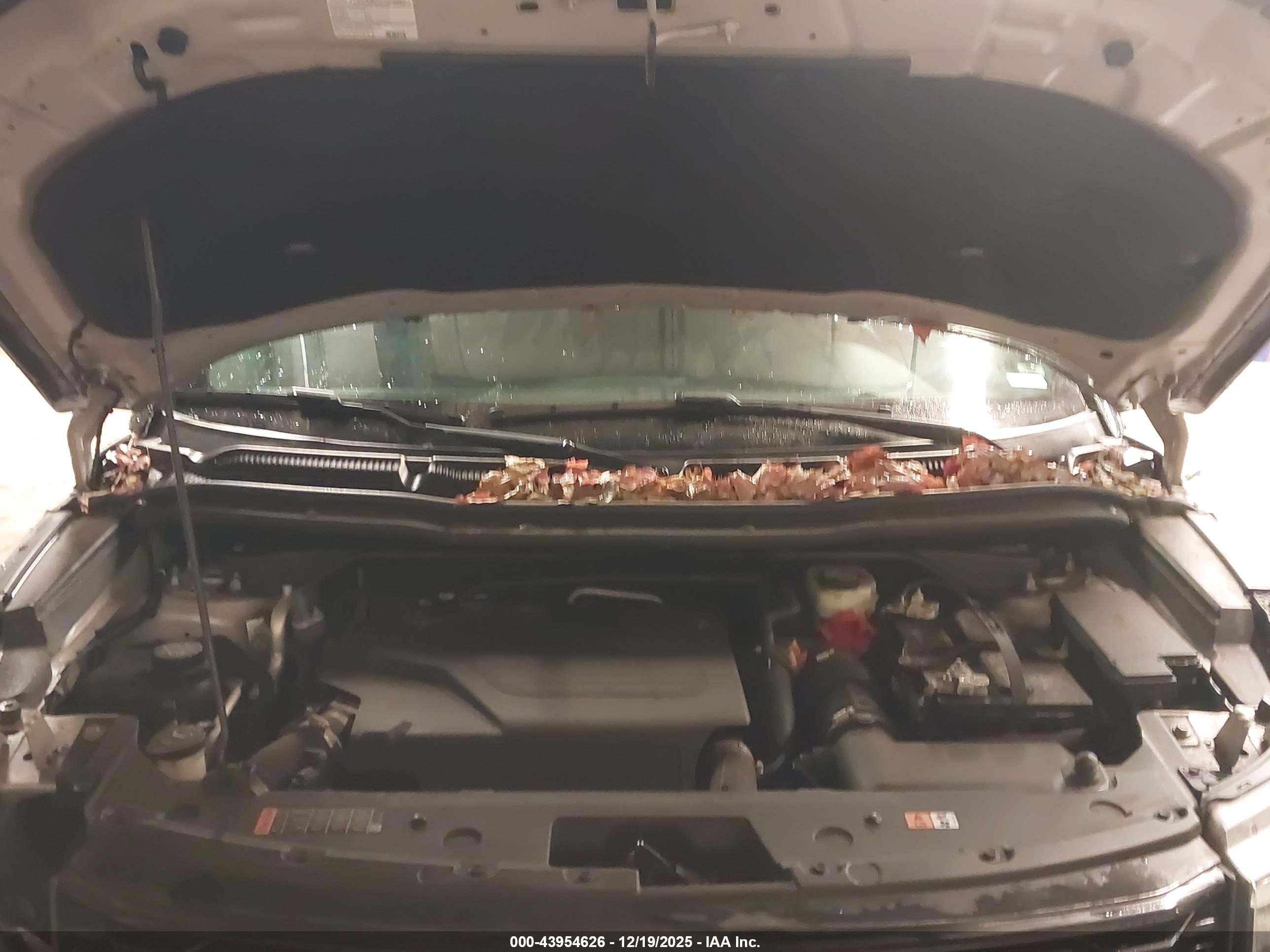 FORD EXPLORER image 10