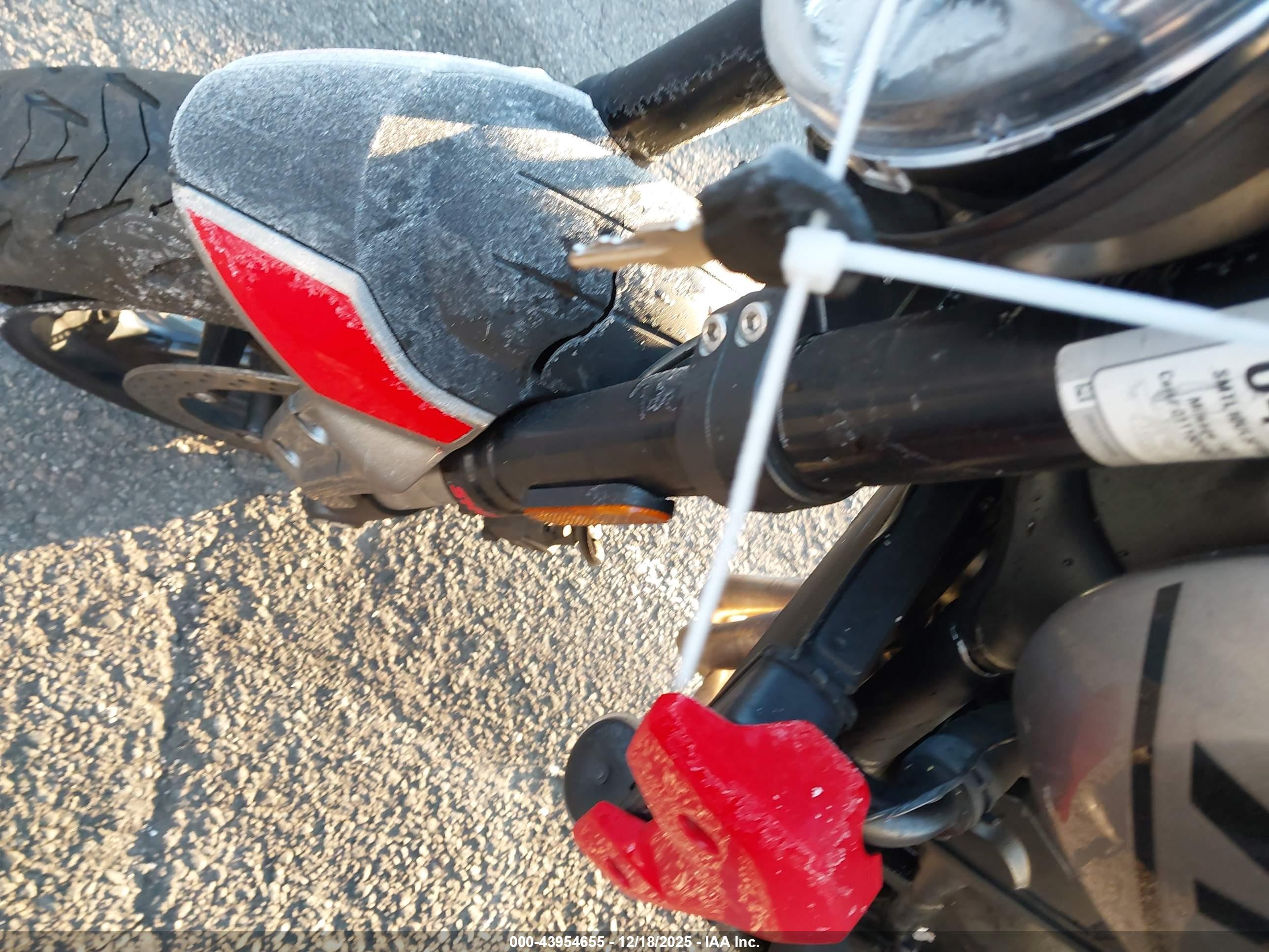 TRIUMPH MOTORCYCLE image 11