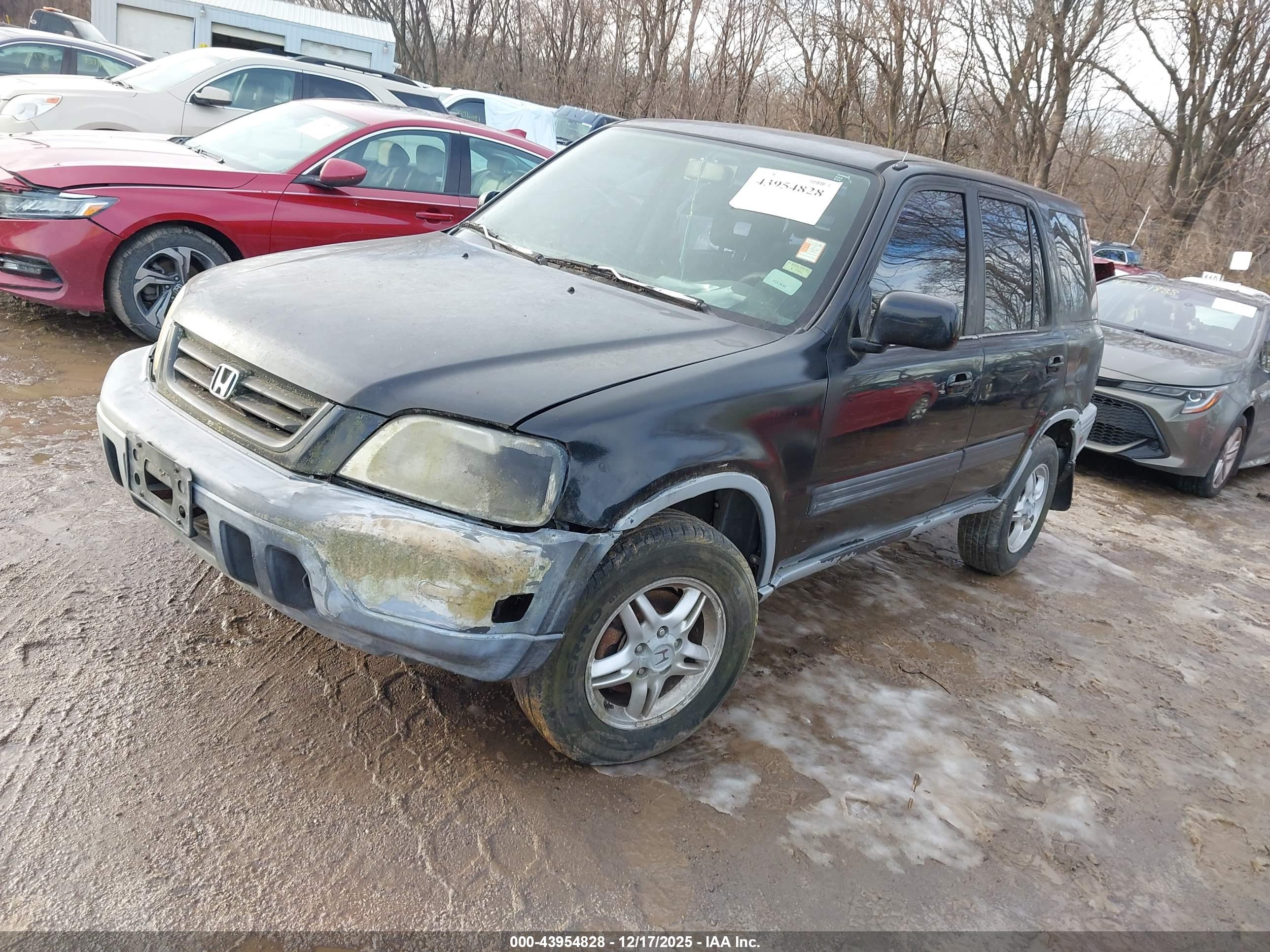 HONDA CR-V image 2