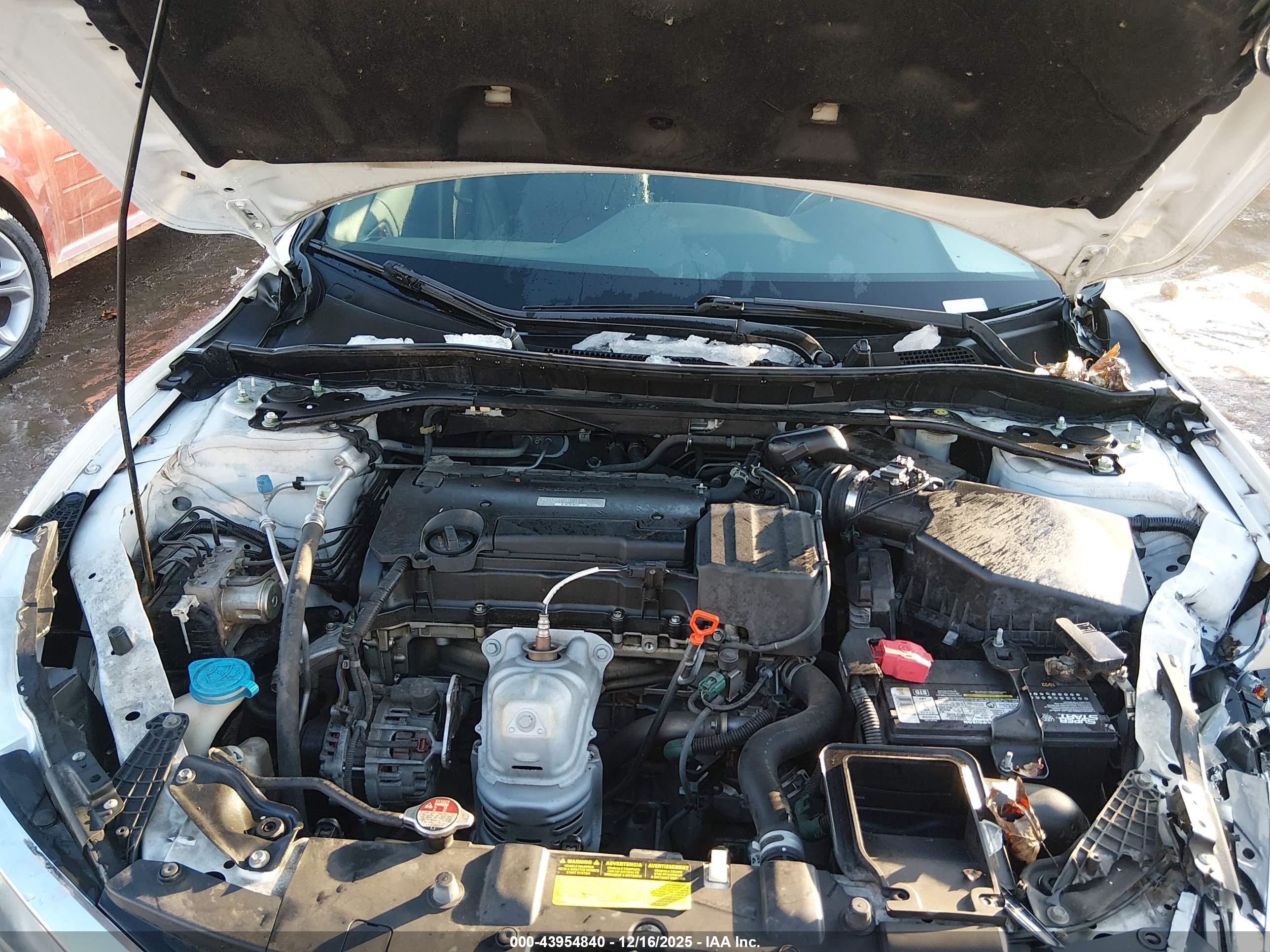 HONDA ACCORD image 10