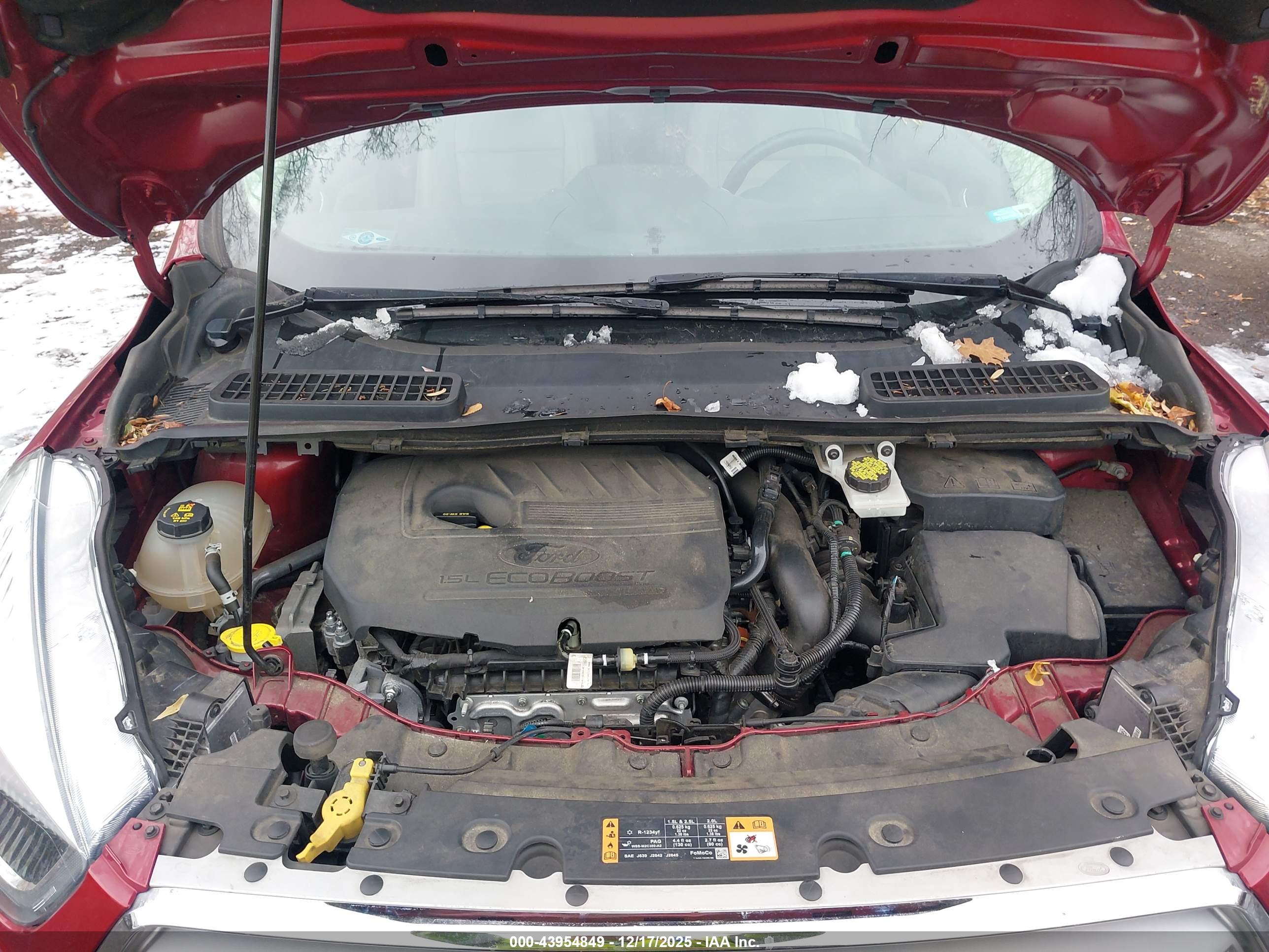 FORD ESCAPE image 10