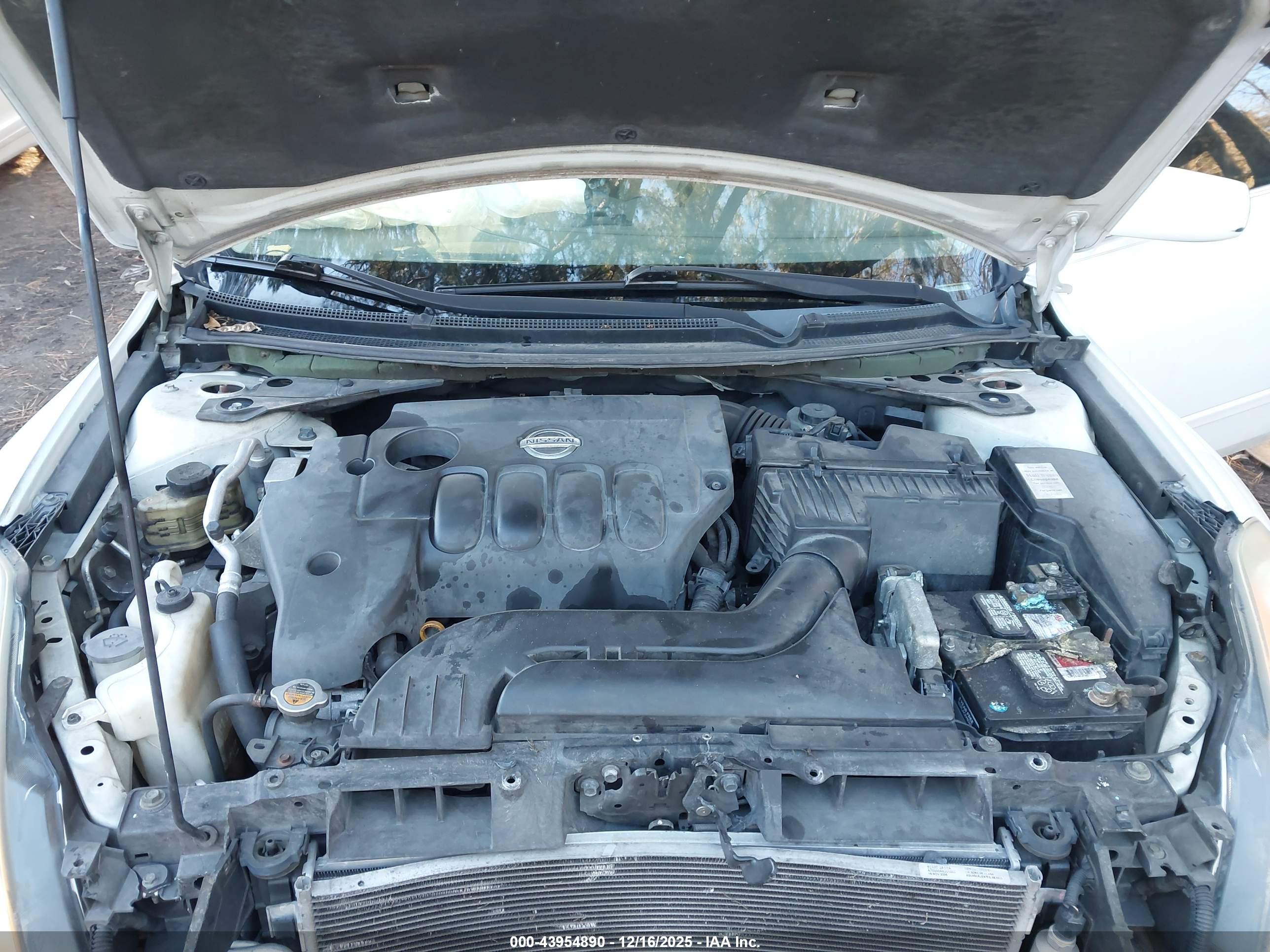 NISSAN ALTIMA image 10