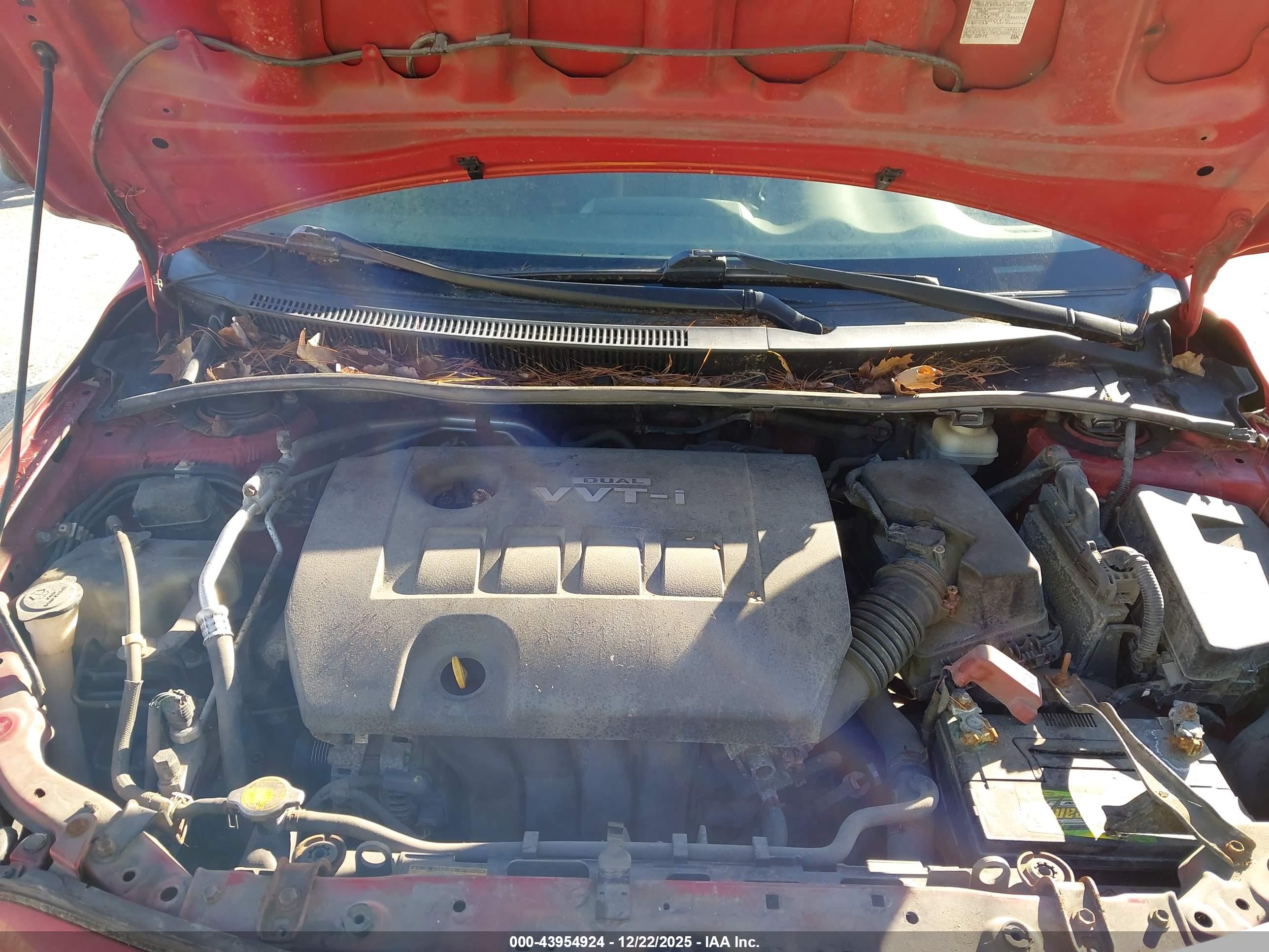TOYOTA COROLLA image 10