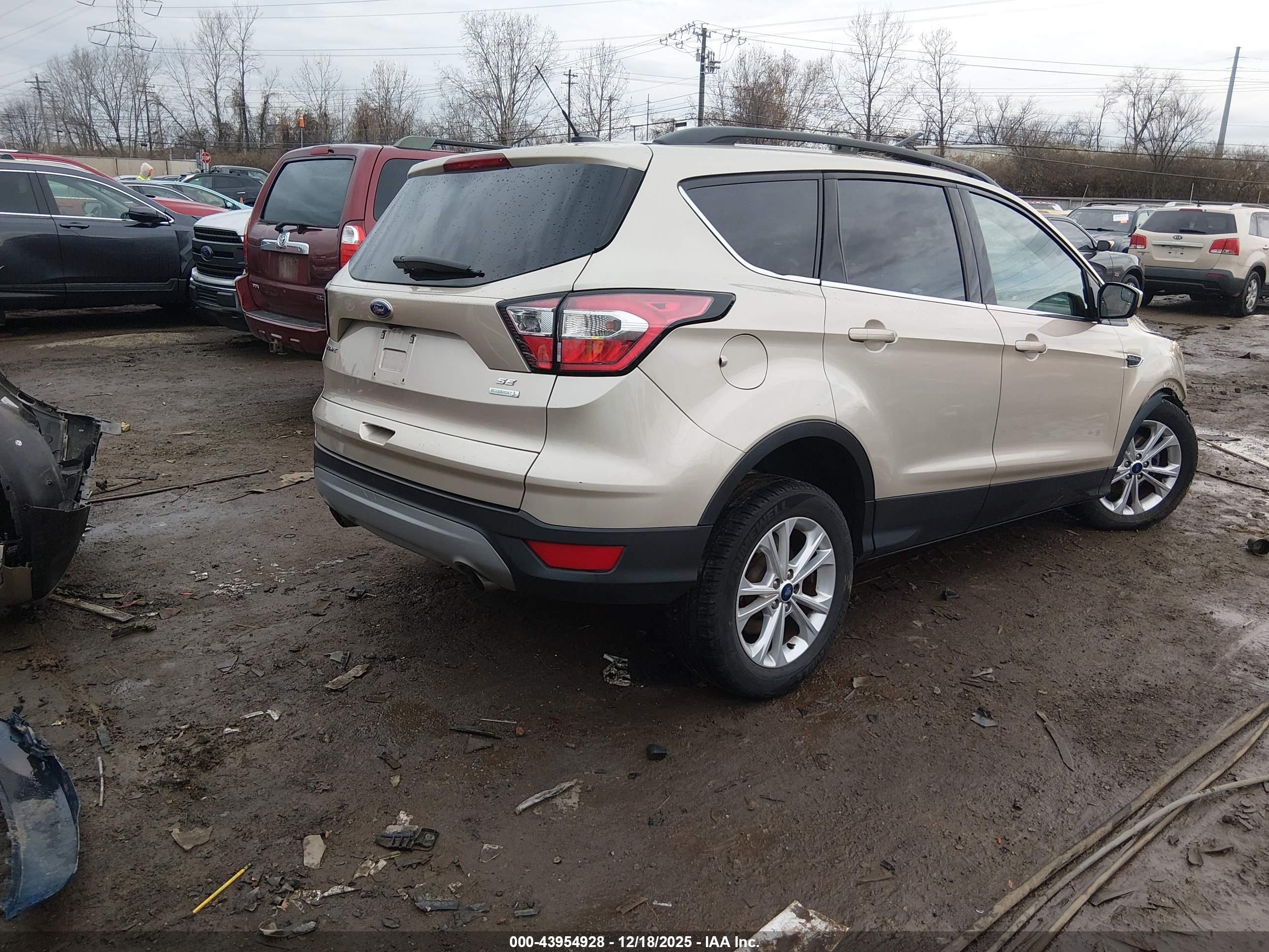 FORD ESCAPE image 4