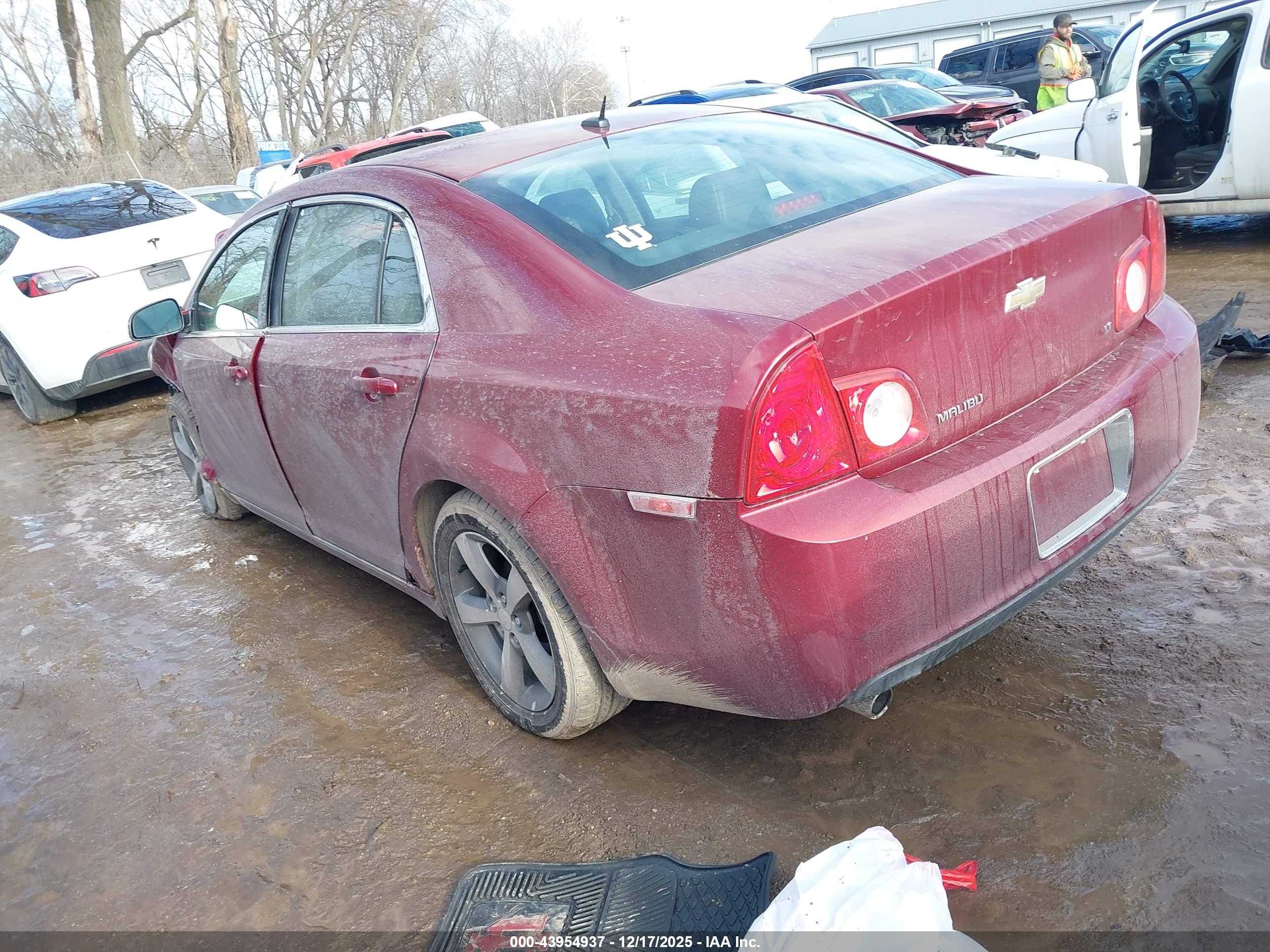 CHEVROLET MALIBU image 3