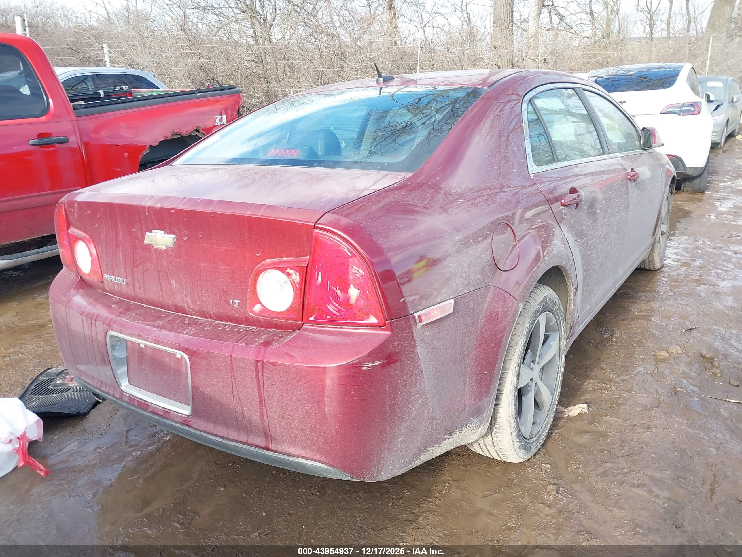 CHEVROLET MALIBU image 4