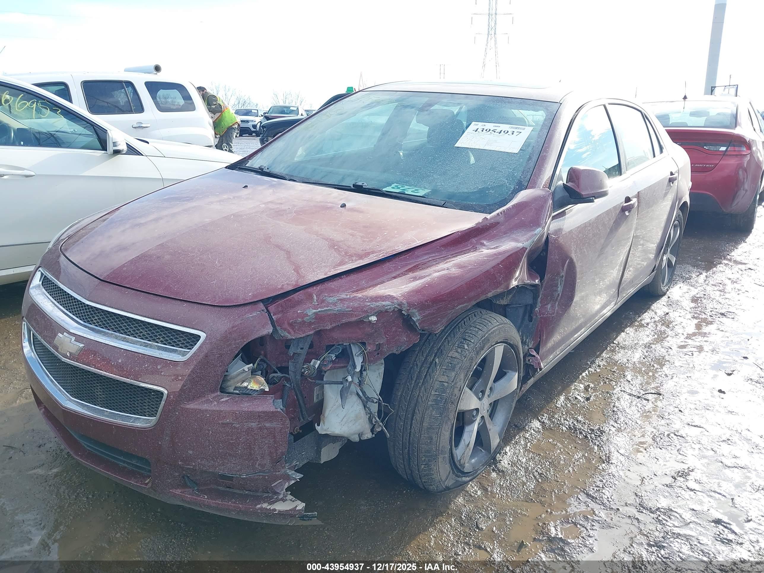 CHEVROLET MALIBU image 6