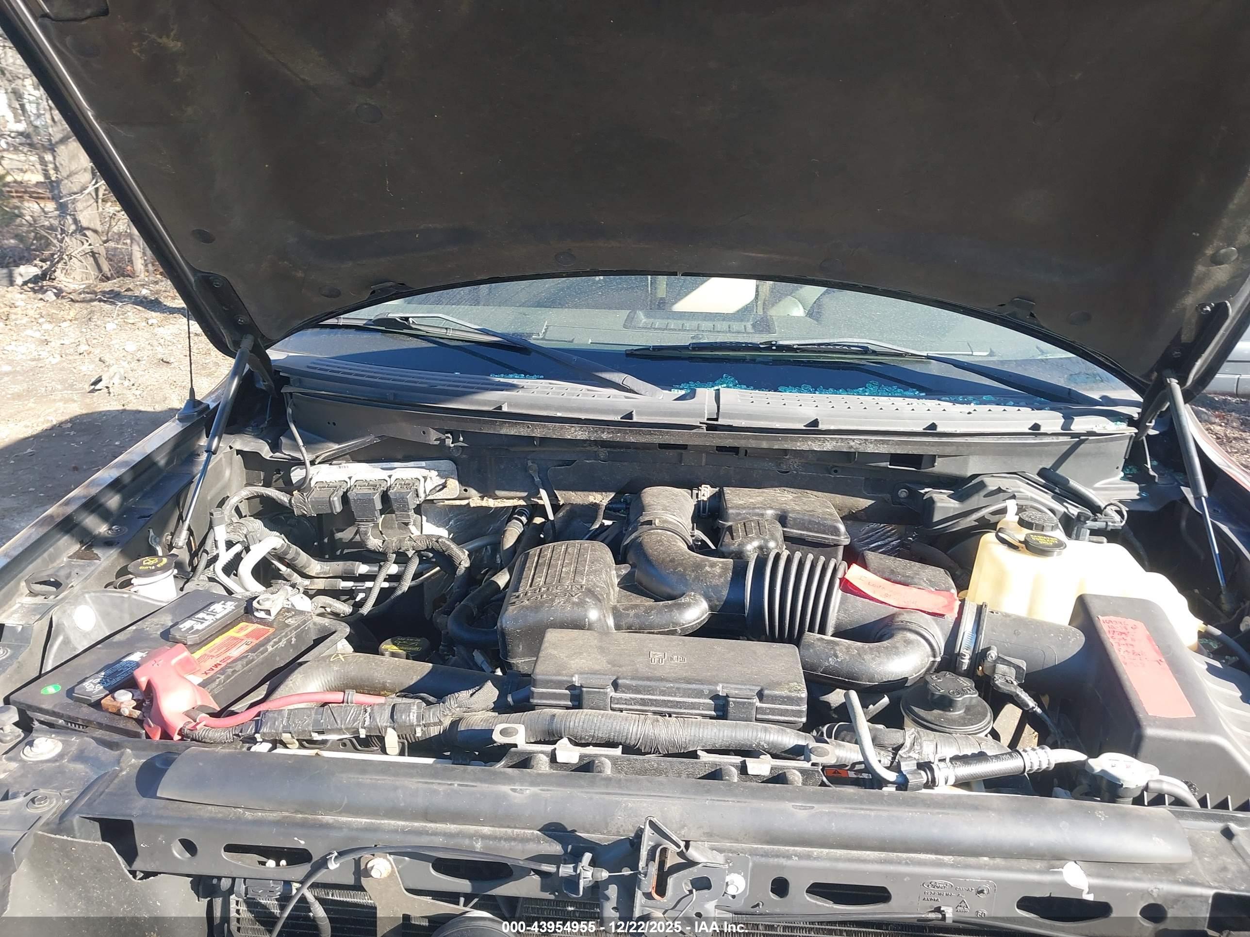 FORD F-150 image 10