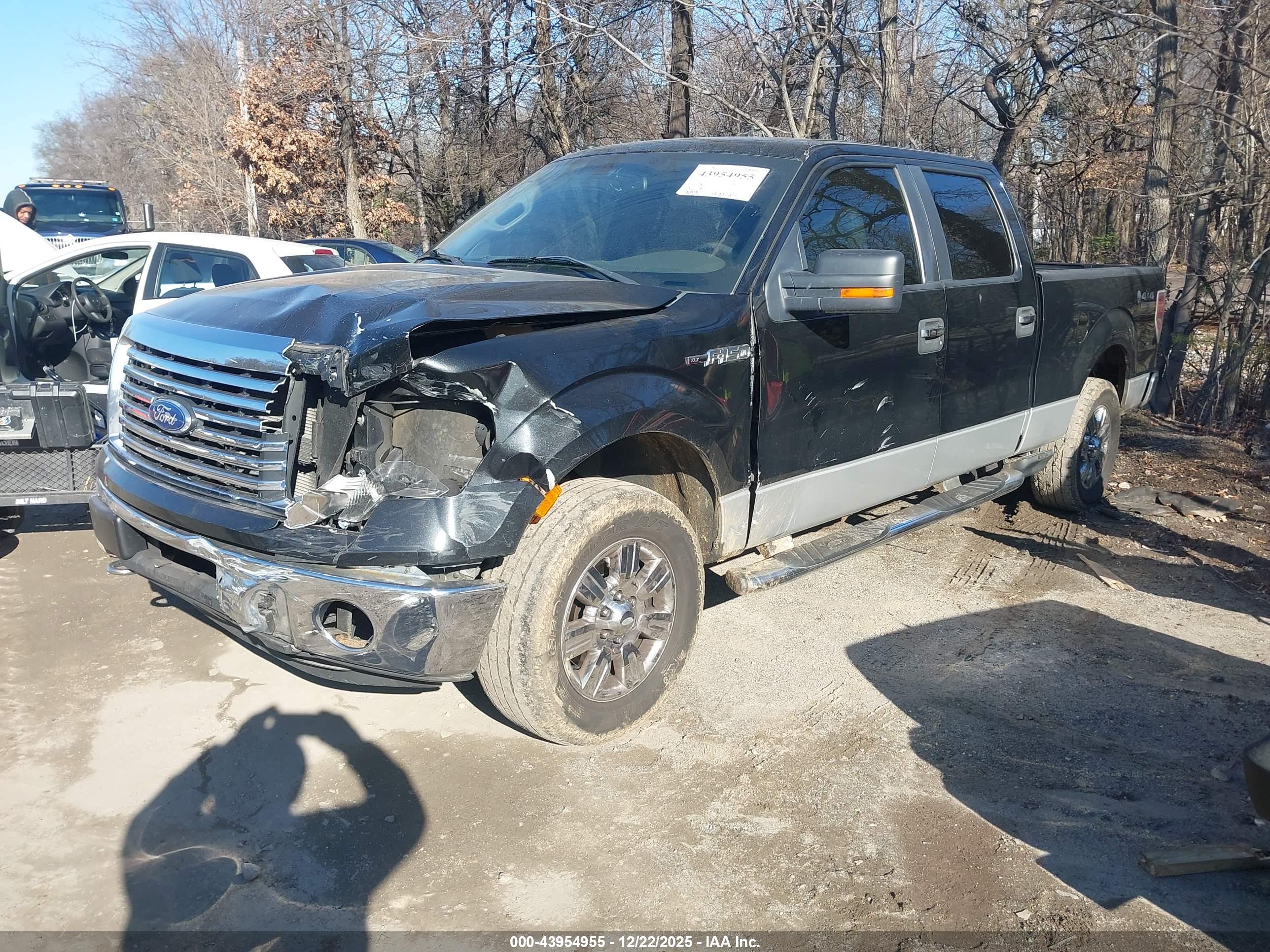 FORD F-150 image 2