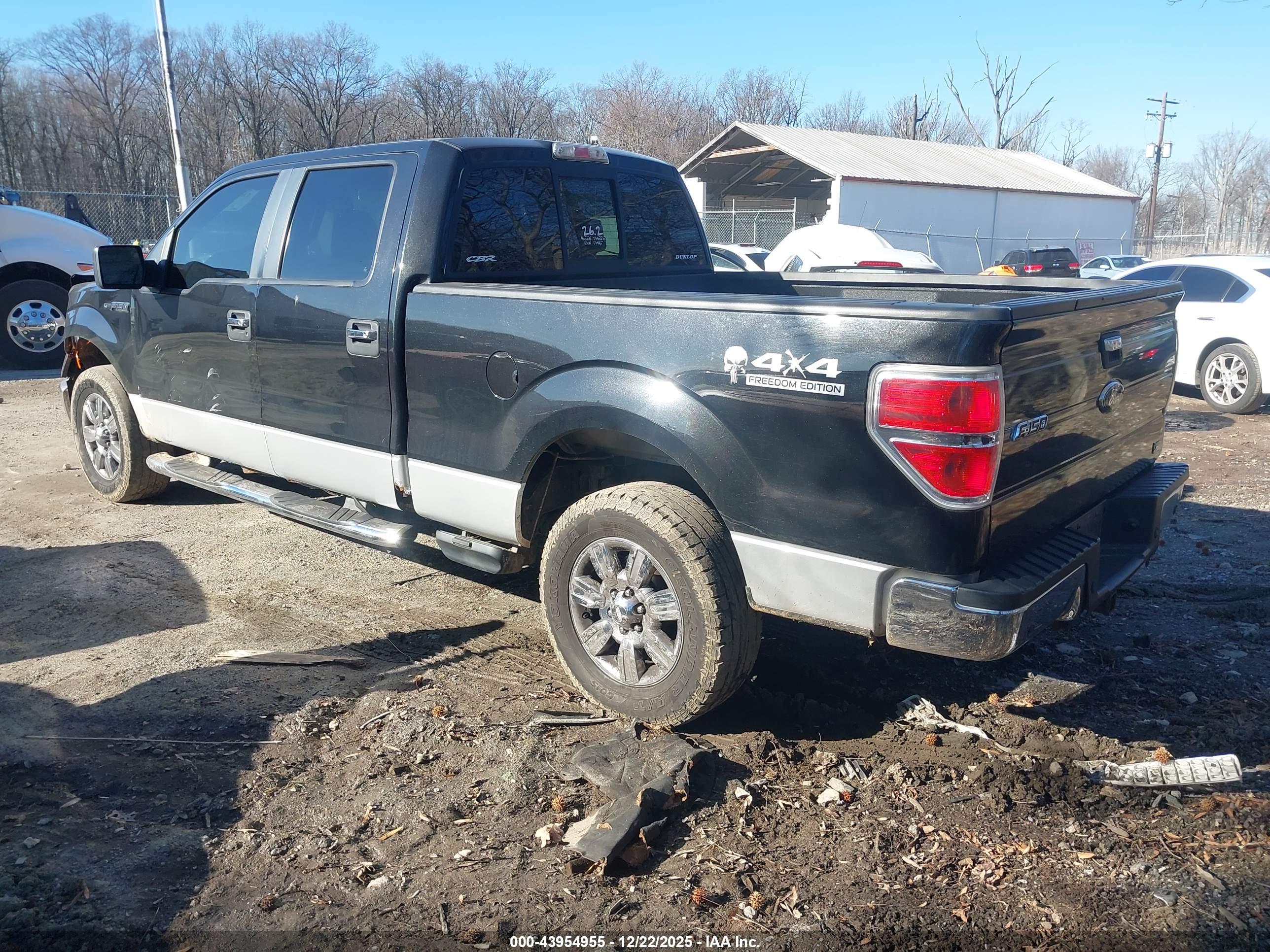 FORD F-150 image 3