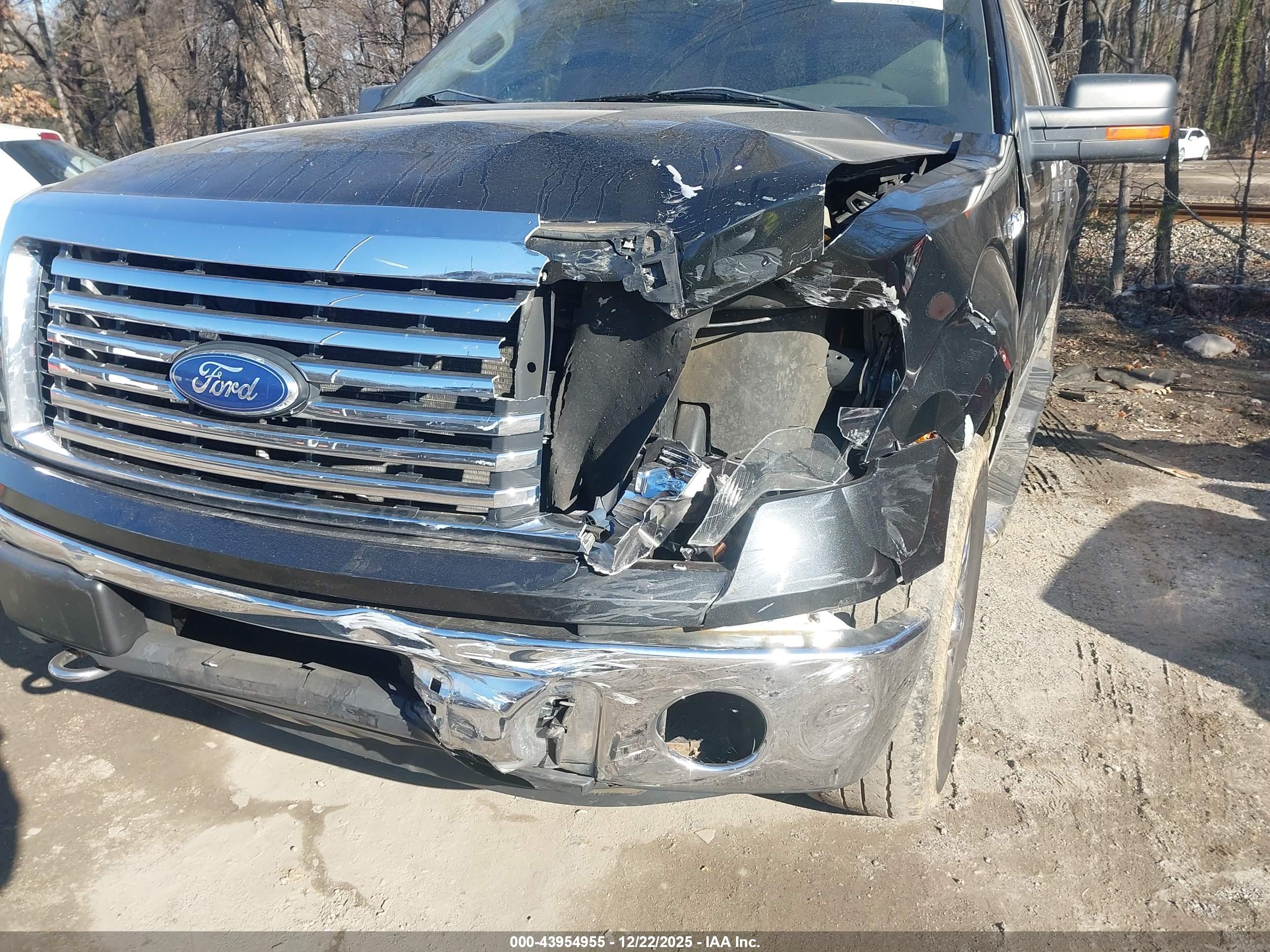 FORD F-150 image 6