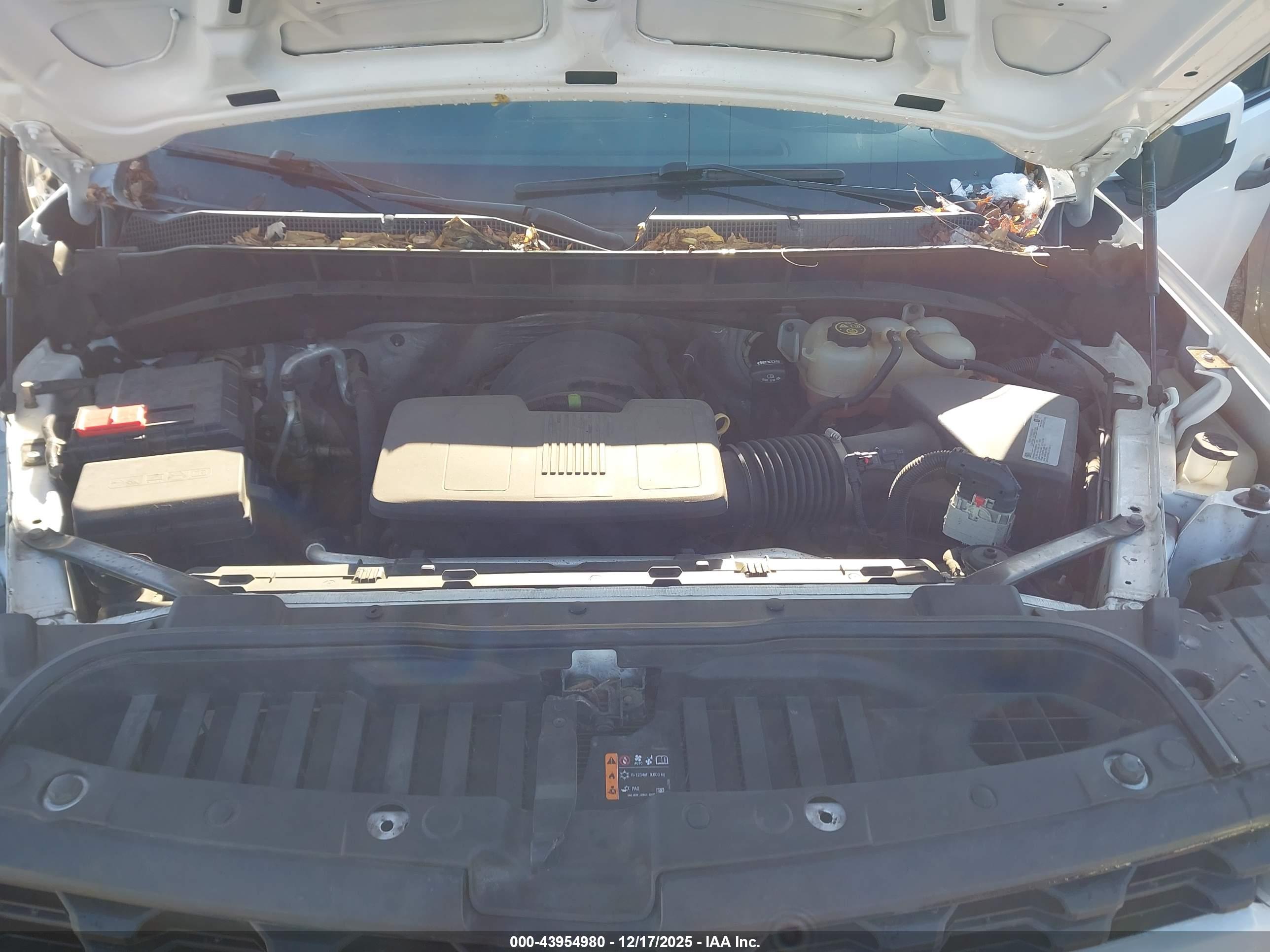 CHEVROLET SILVERADO image 10