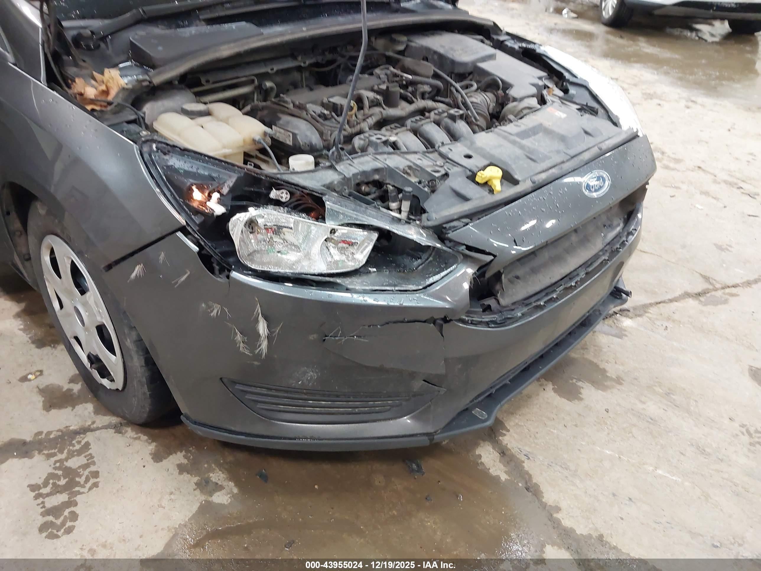 FORD FOCUS image 6