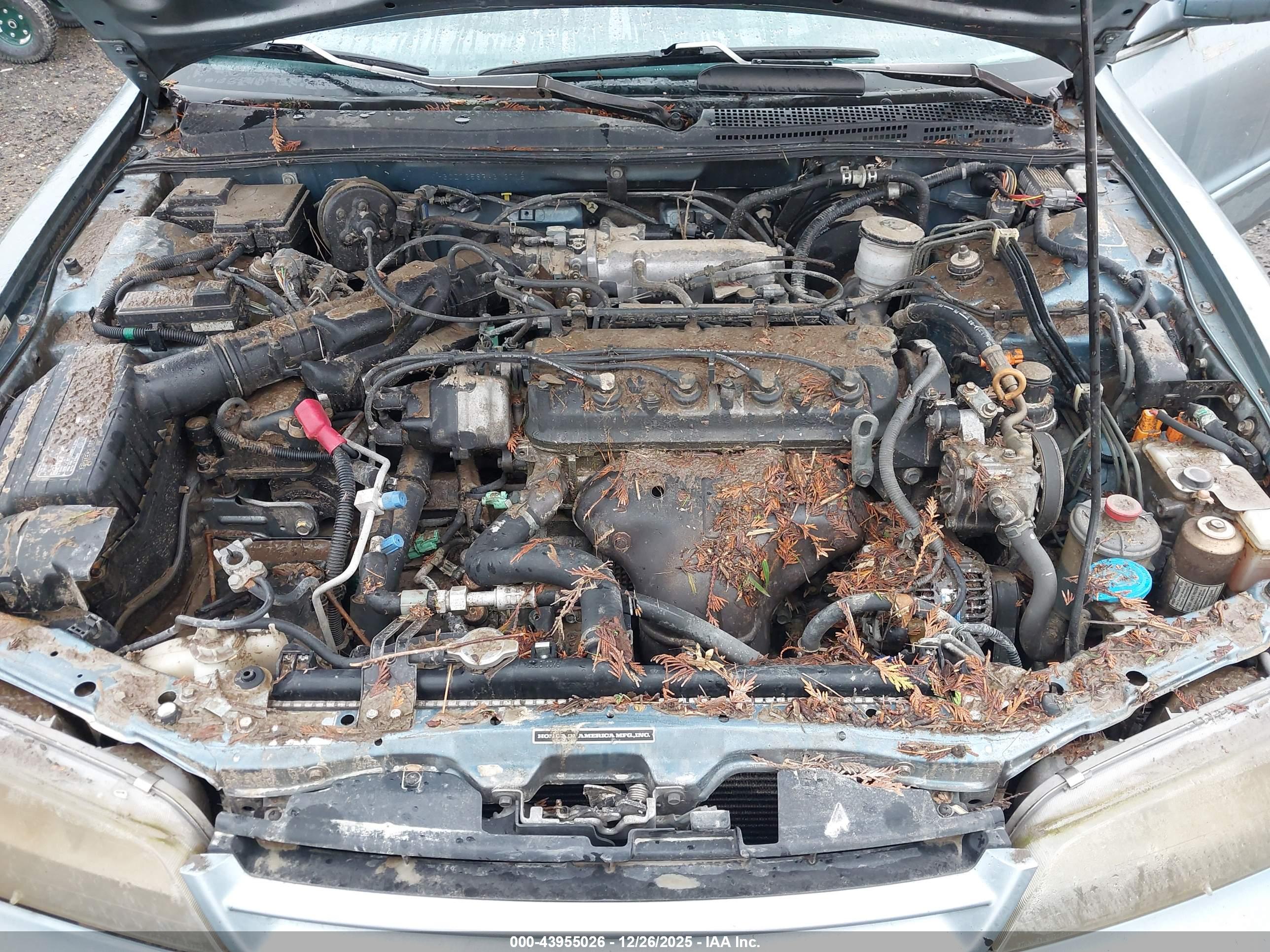 HONDA ACCORD image 10