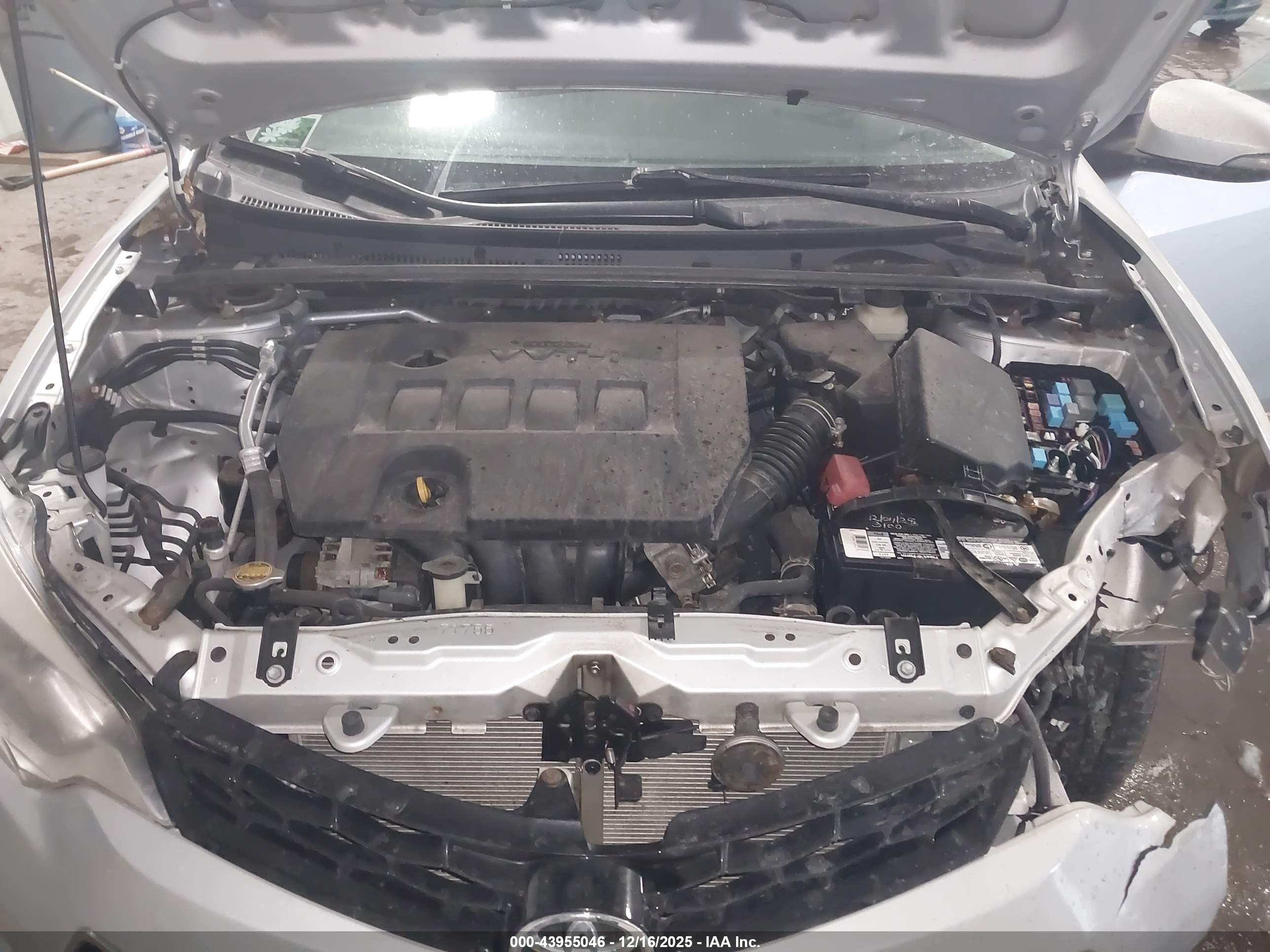 TOYOTA COROLLA image 10