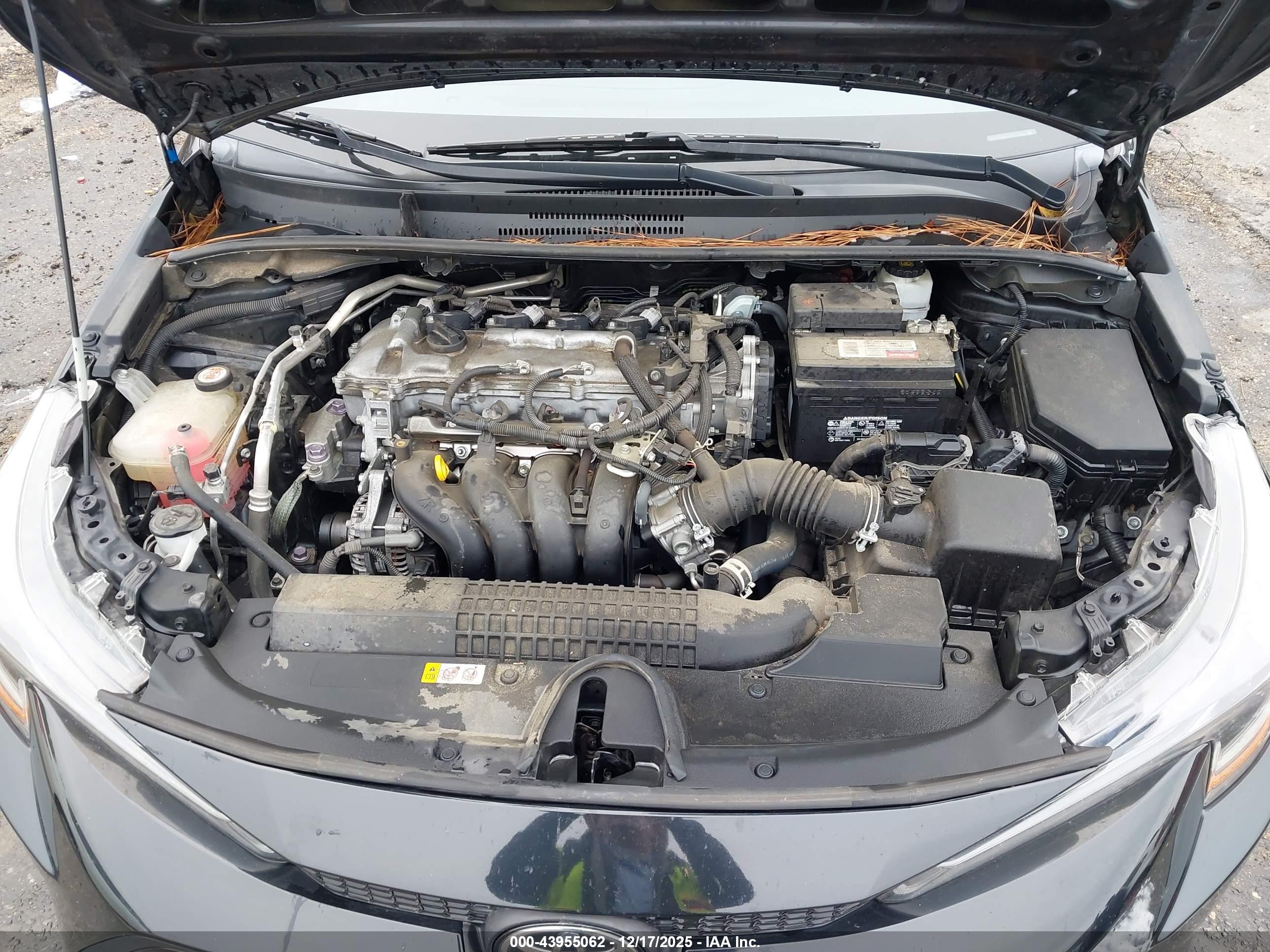 TOYOTA COROLLA image 10