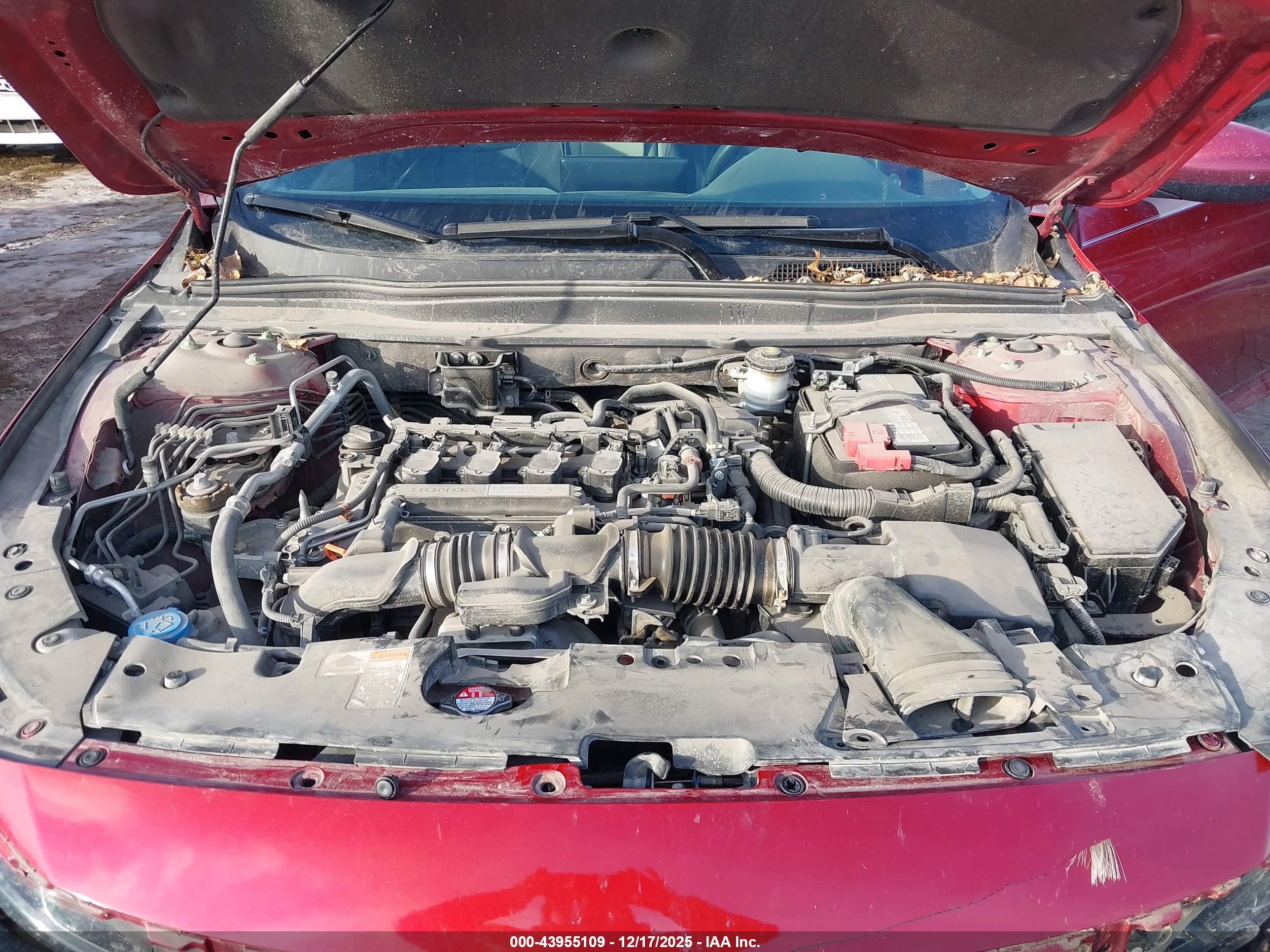 HONDA ACCORD image 10