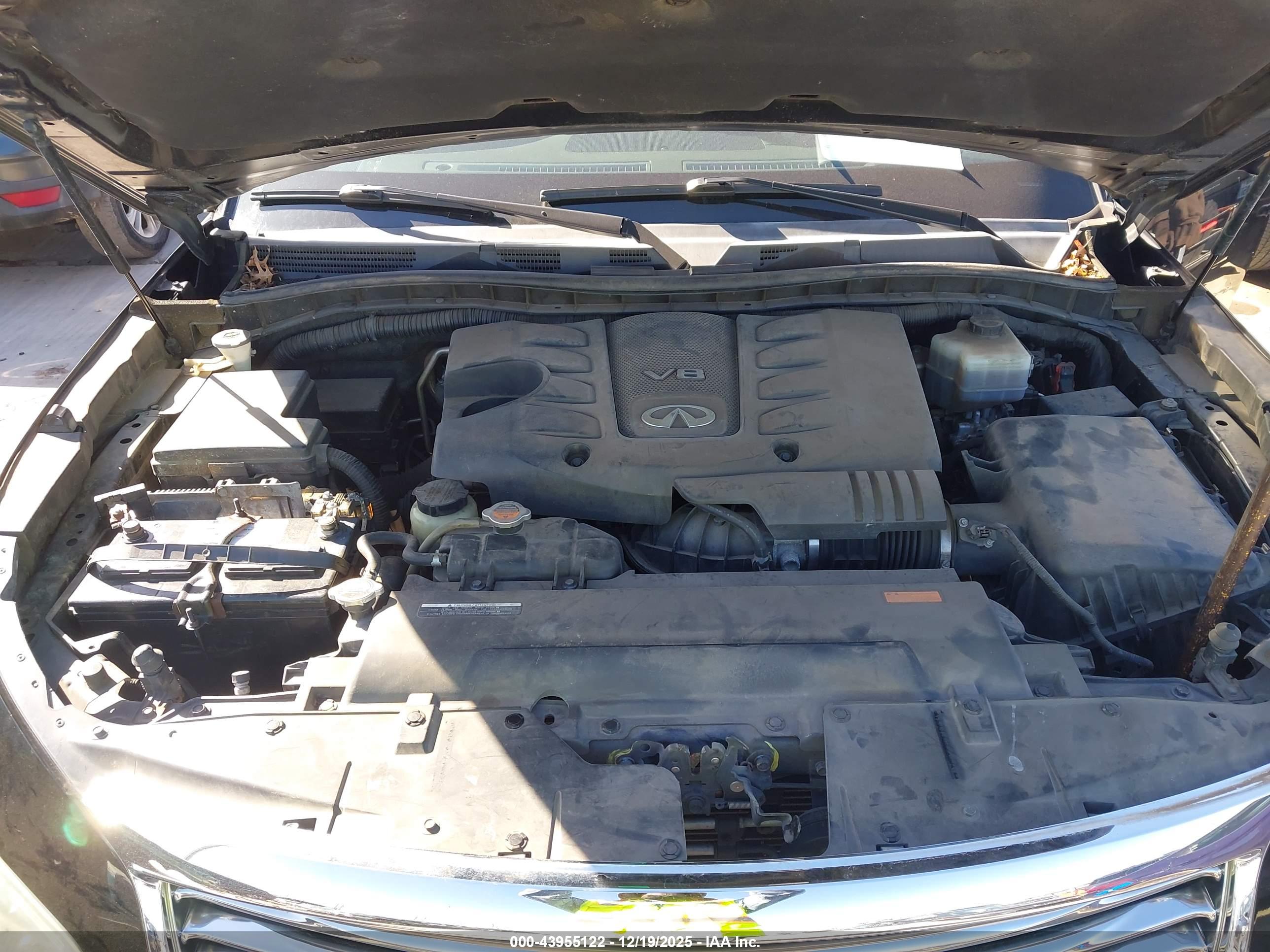 INFINITI QX80 image 10