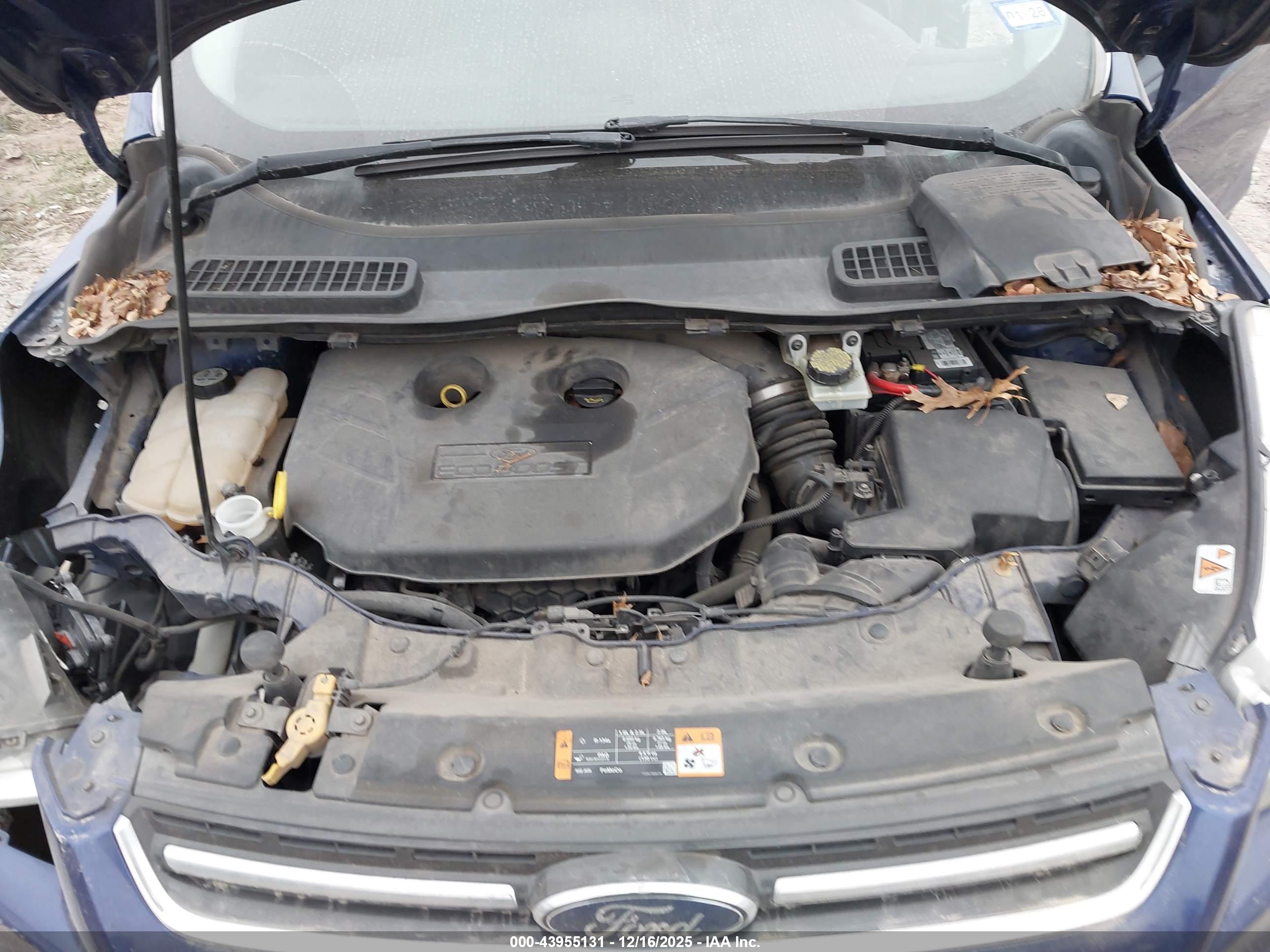 FORD ESCAPE image 10