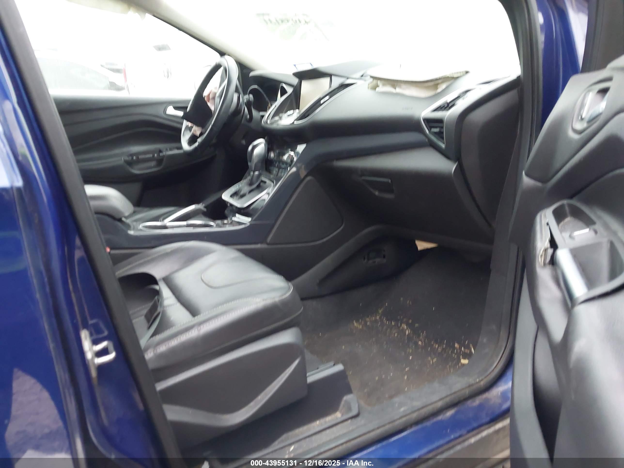 FORD ESCAPE image 5