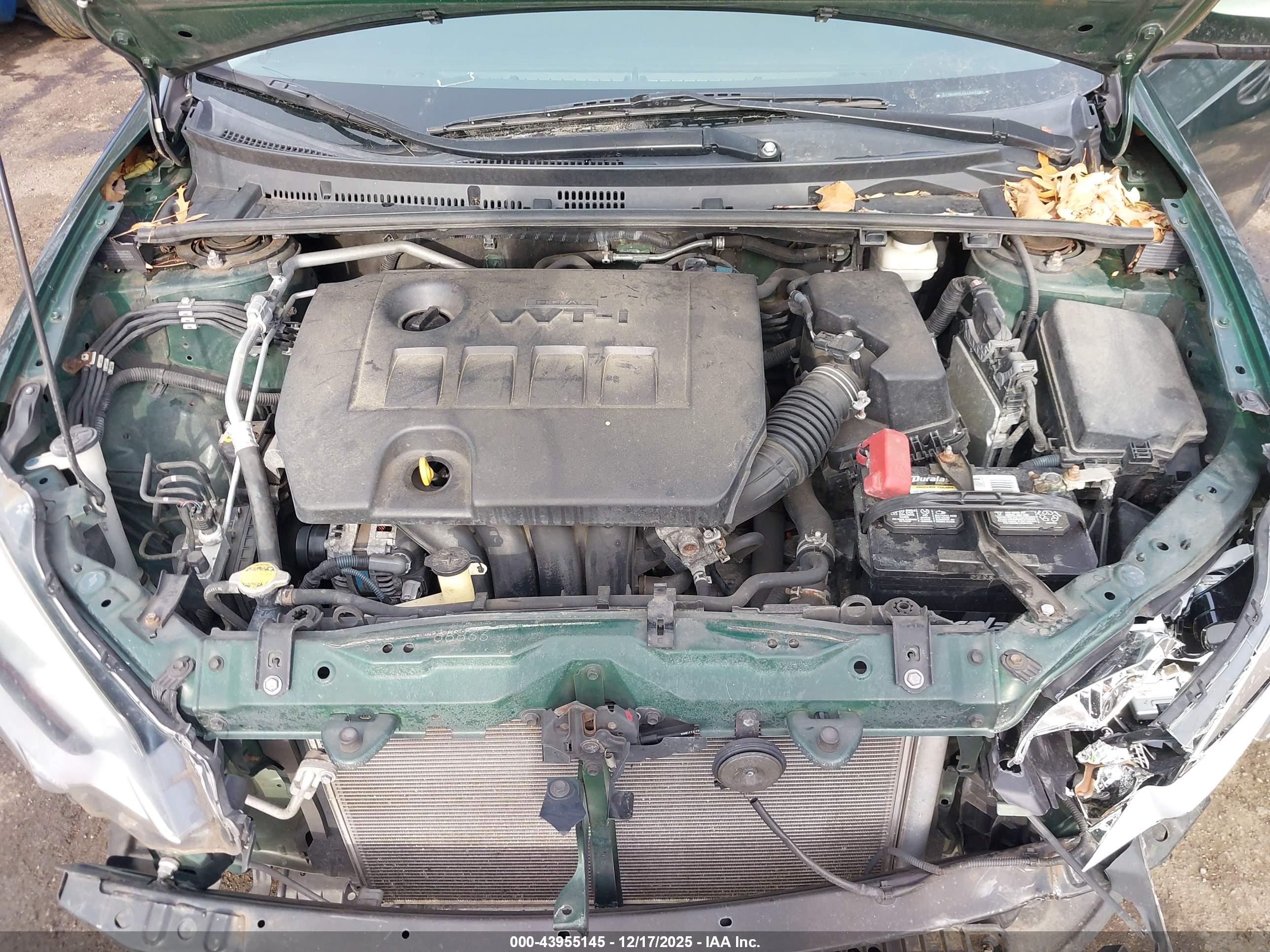 TOYOTA COROLLA image 10