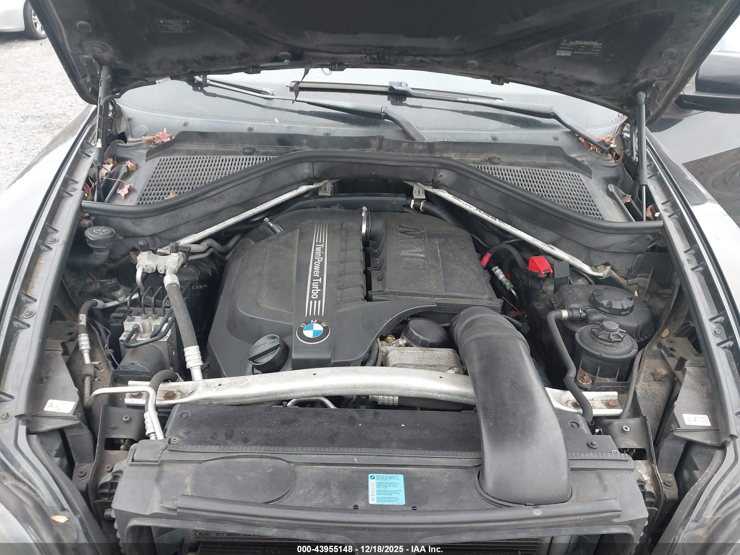 BMW X5 image 10