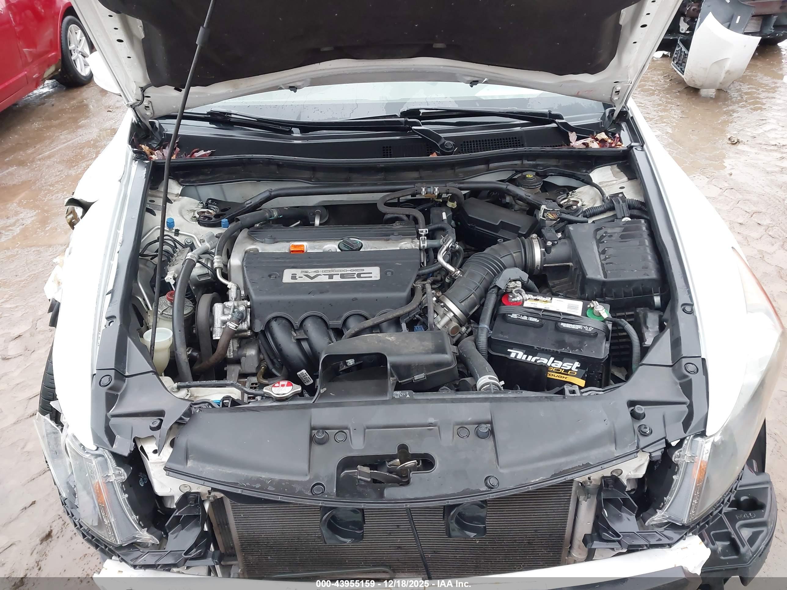 HONDA ACCORD image 10