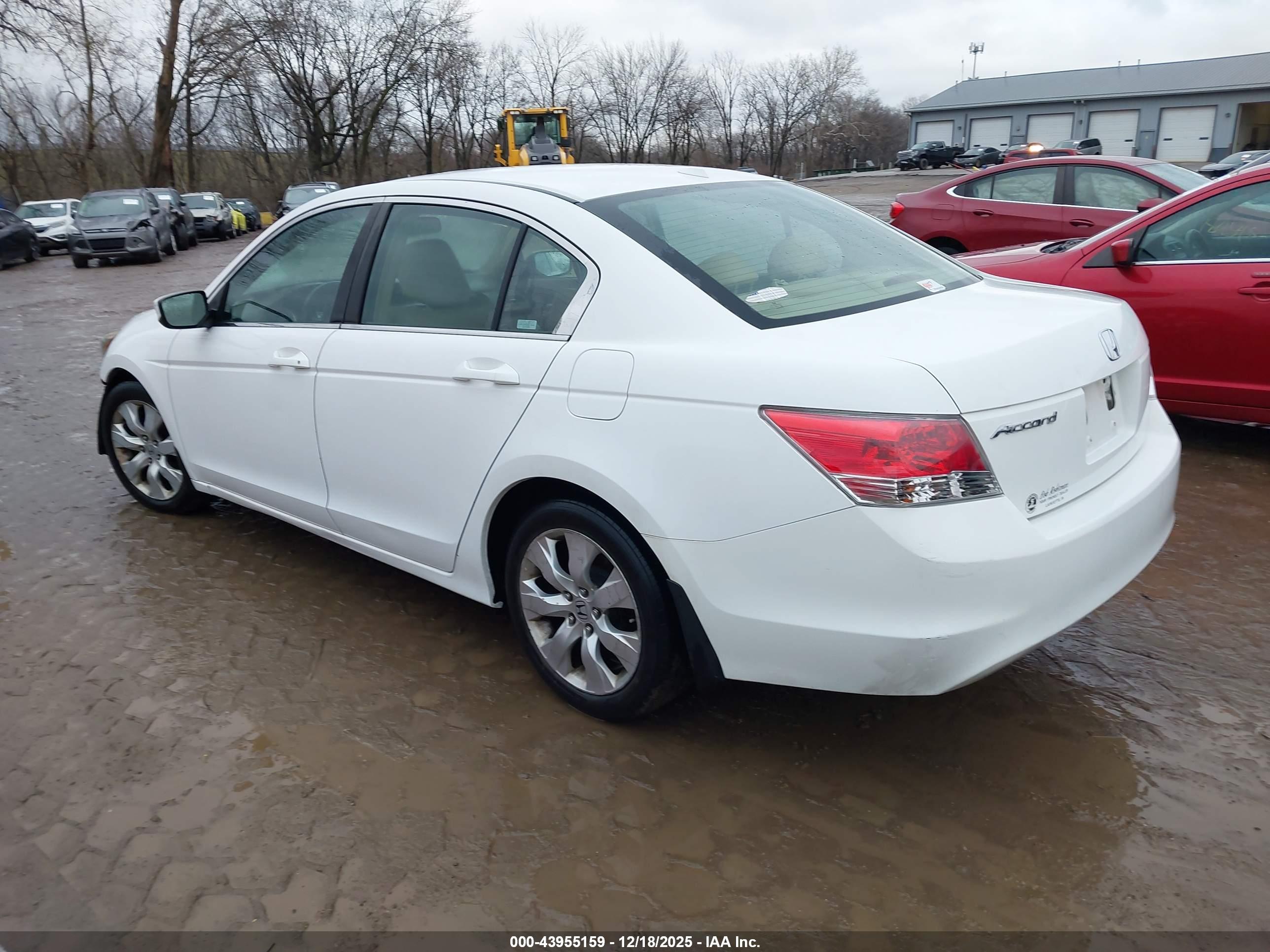 HONDA ACCORD image 3