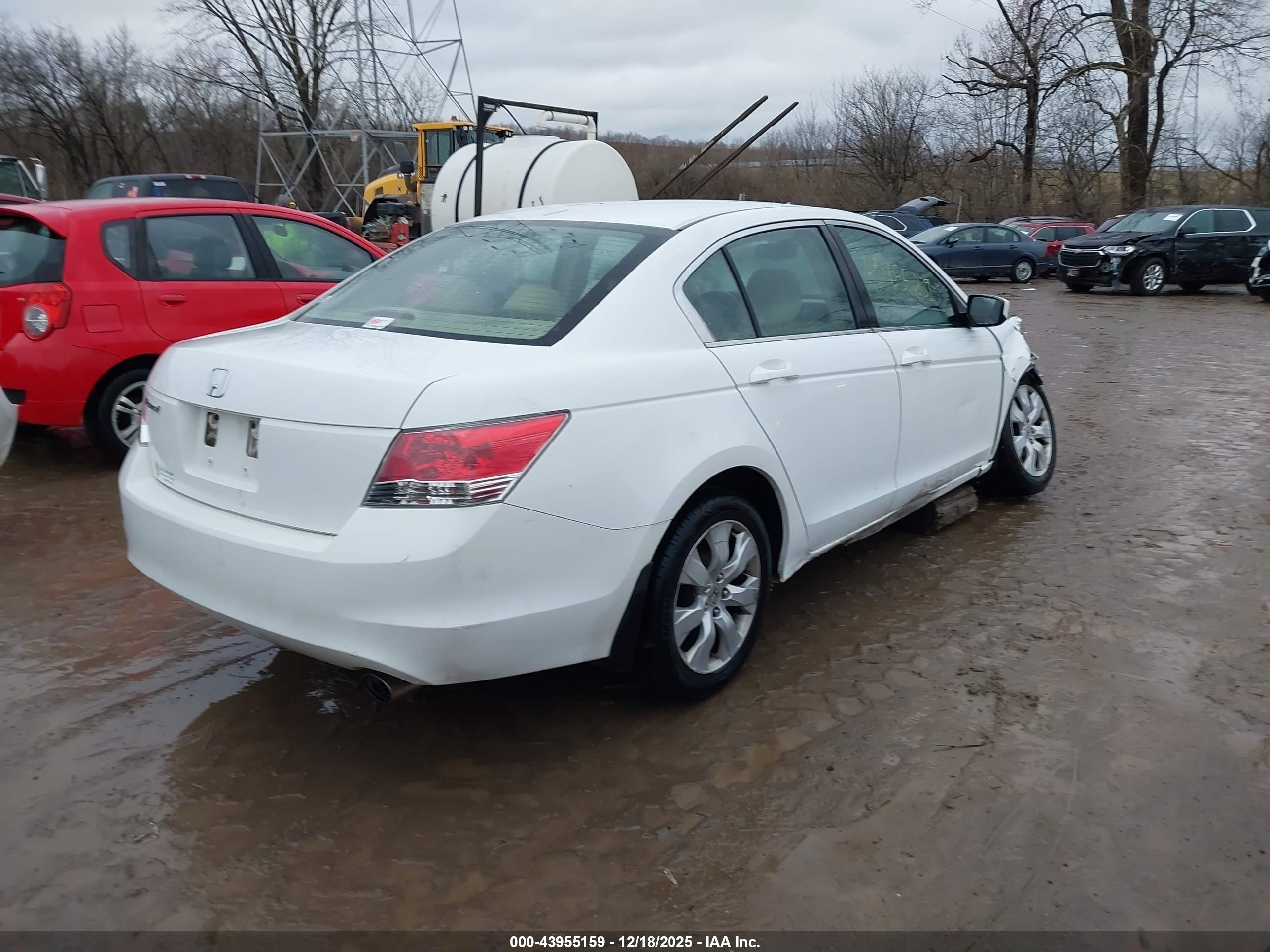 HONDA ACCORD image 4