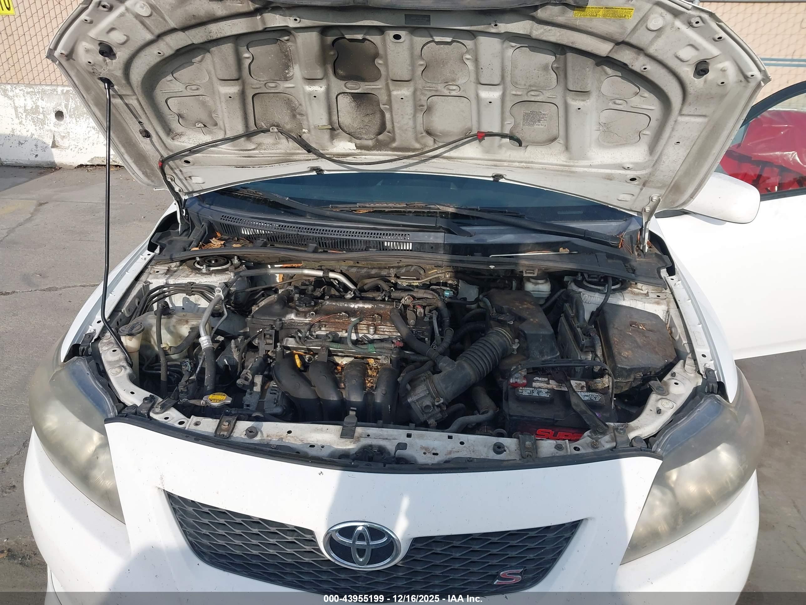 TOYOTA COROLLA image 10