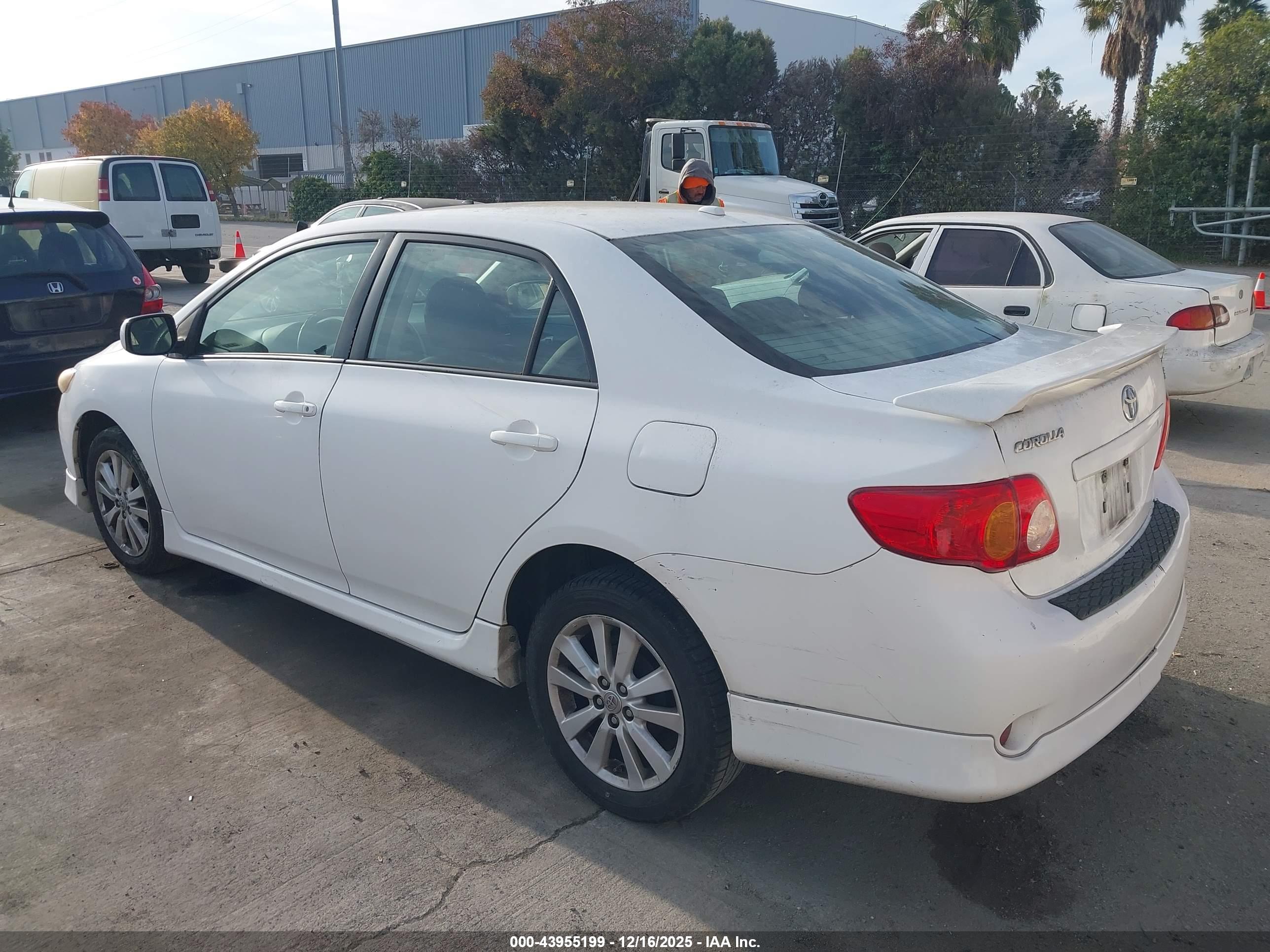 TOYOTA COROLLA image 3