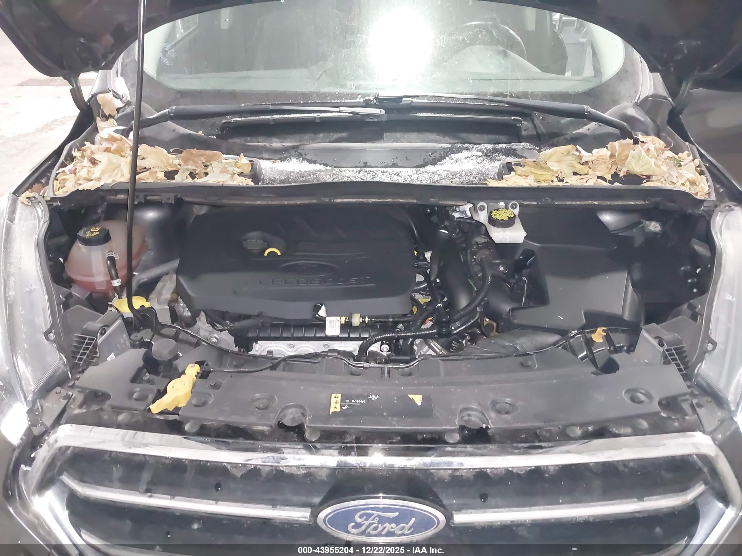 FORD ESCAPE image 10