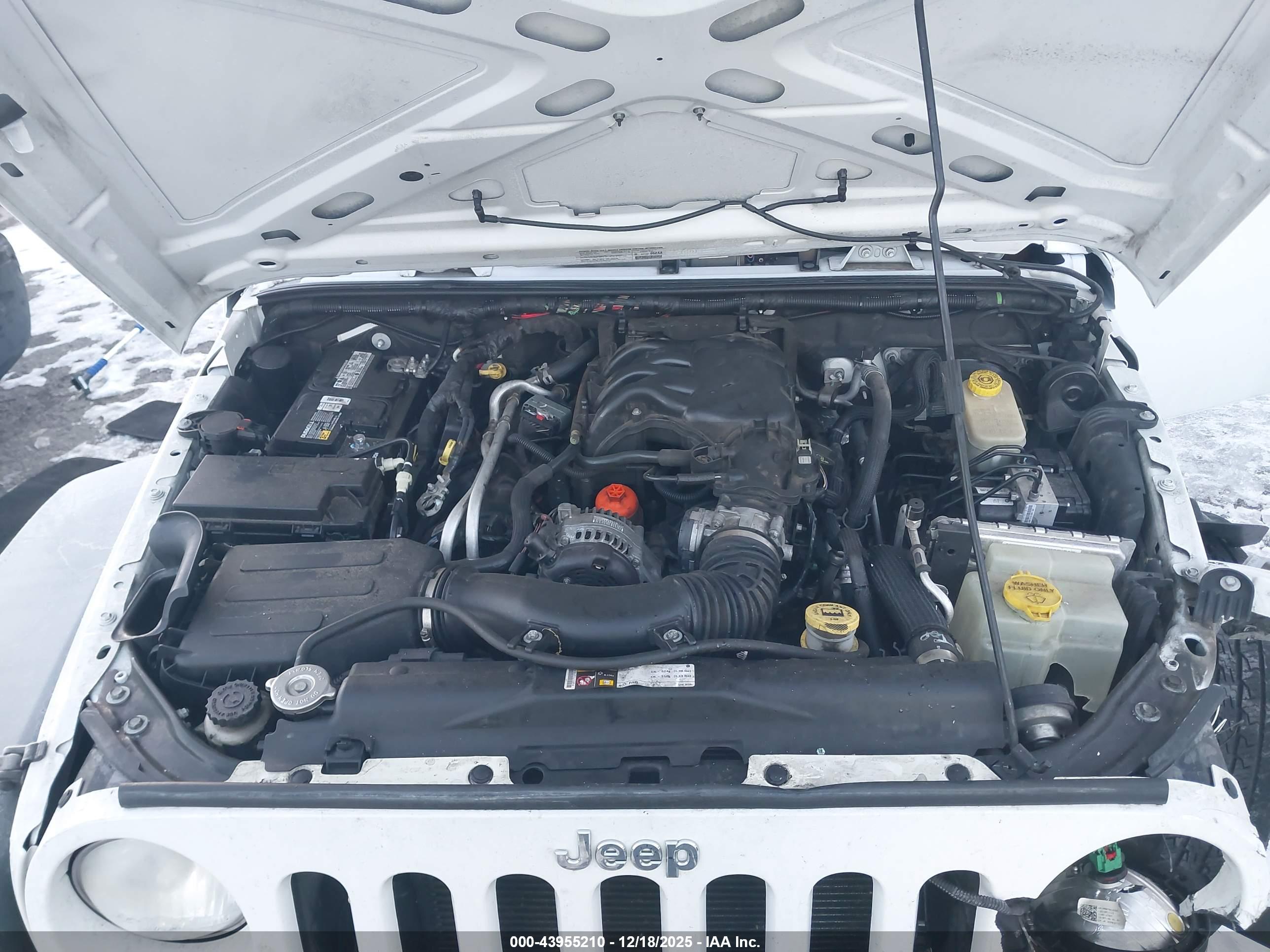 JEEP WRANGLER image 10