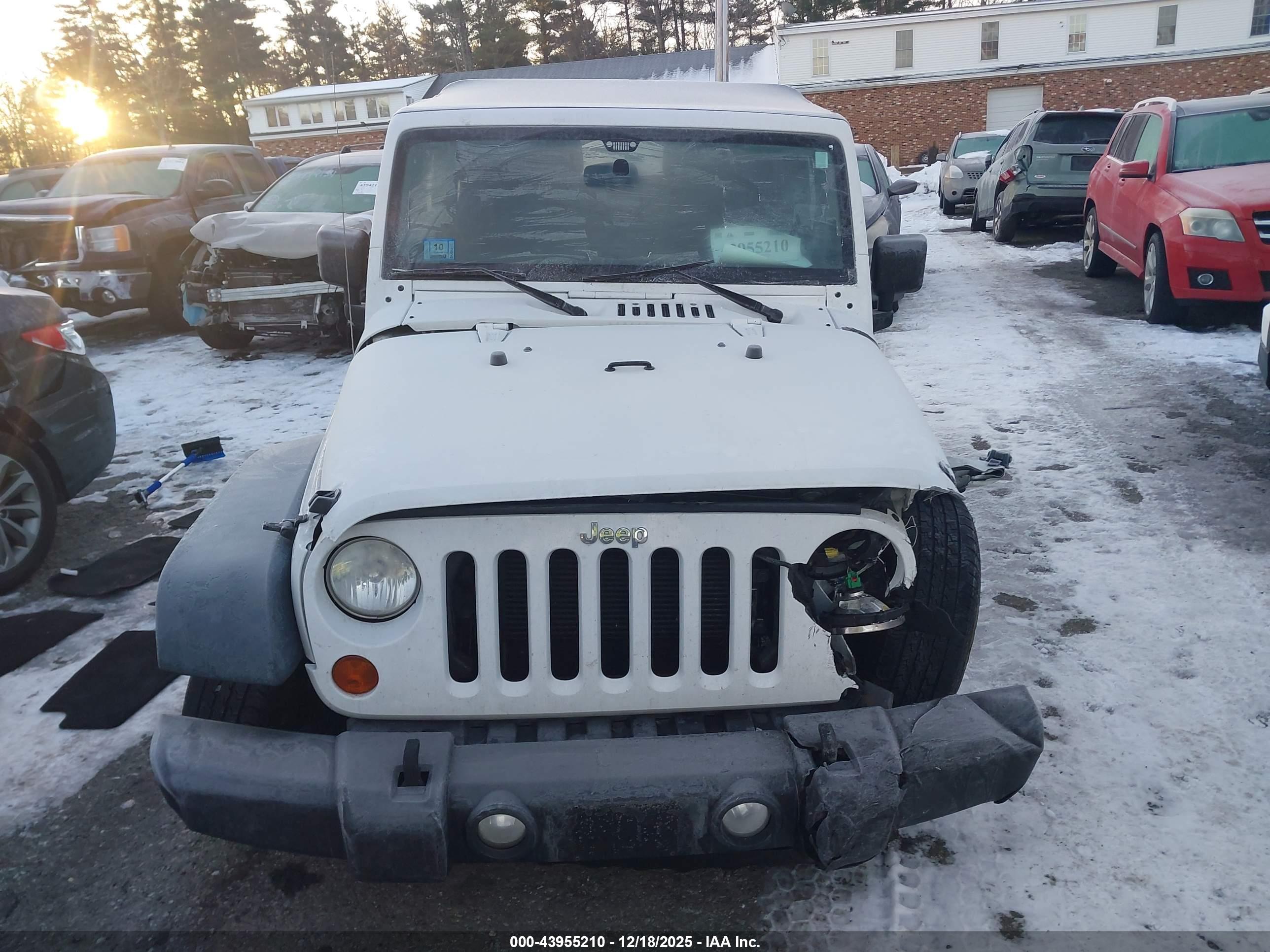JEEP WRANGLER image 6
