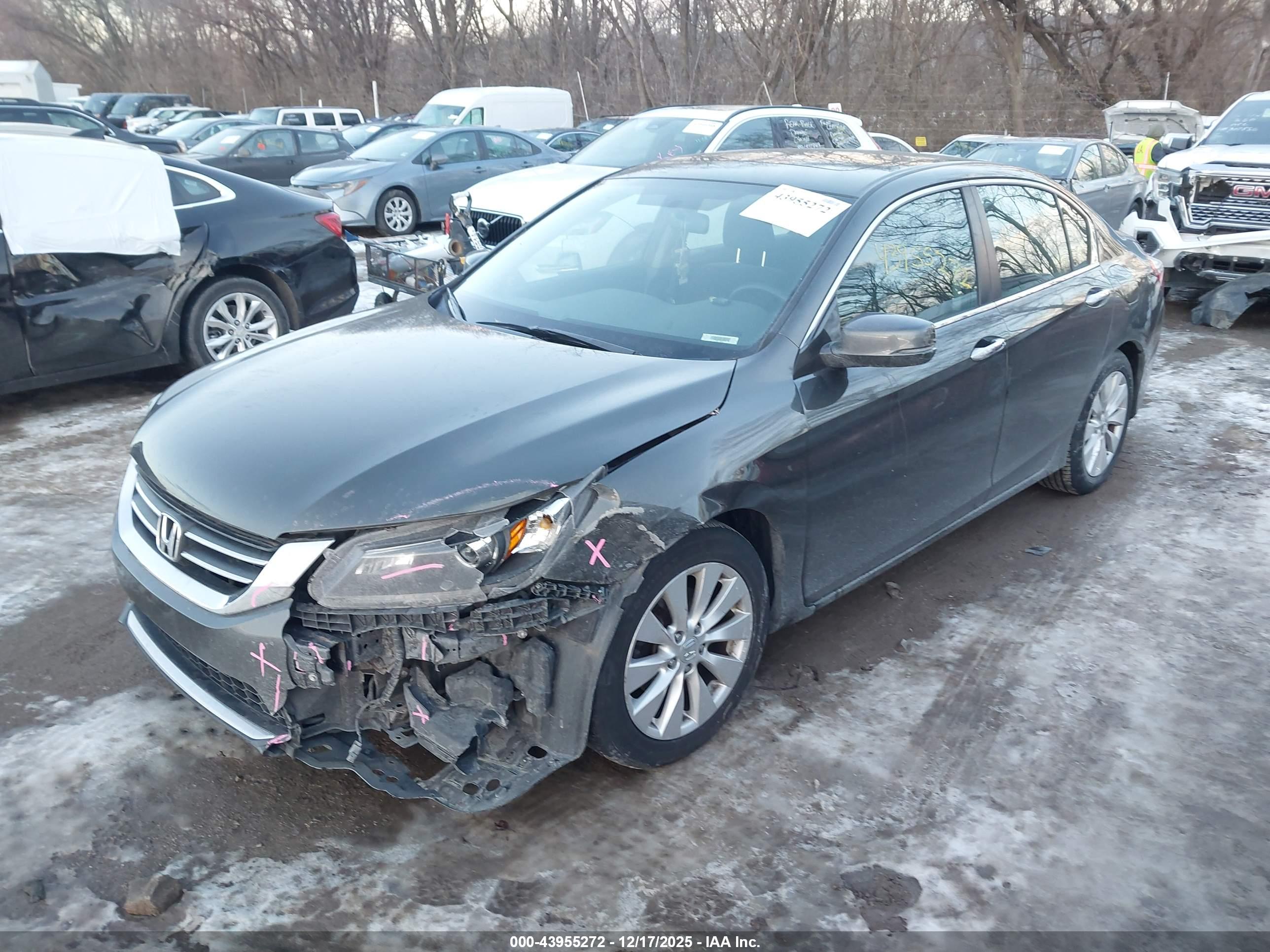 HONDA ACCORD image 2