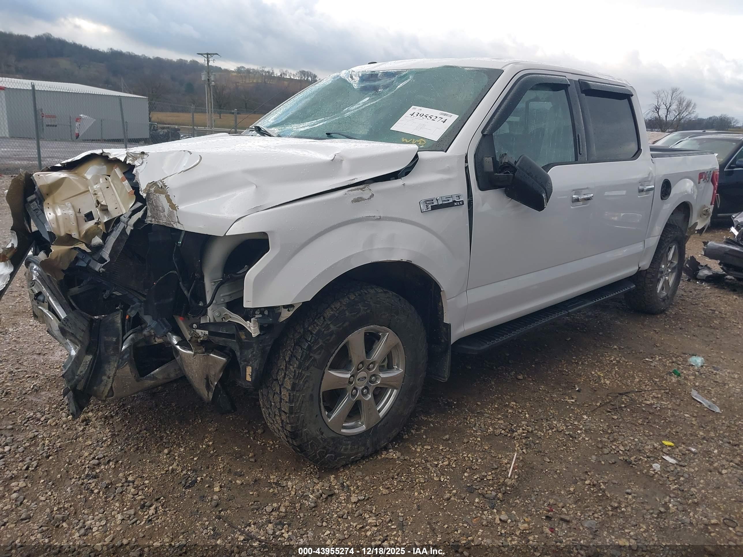 FORD F-150 image 2