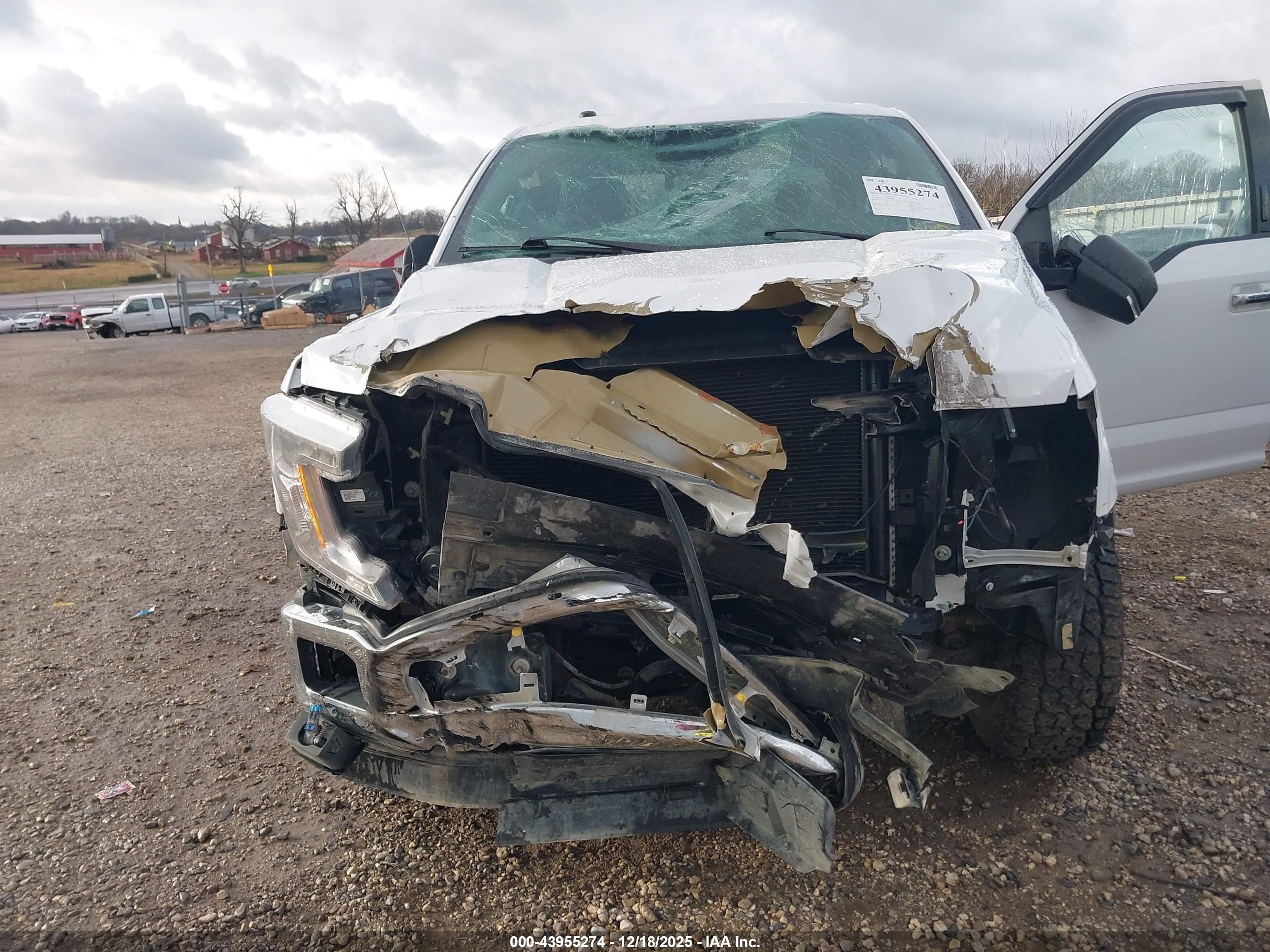 FORD F-150 image 6