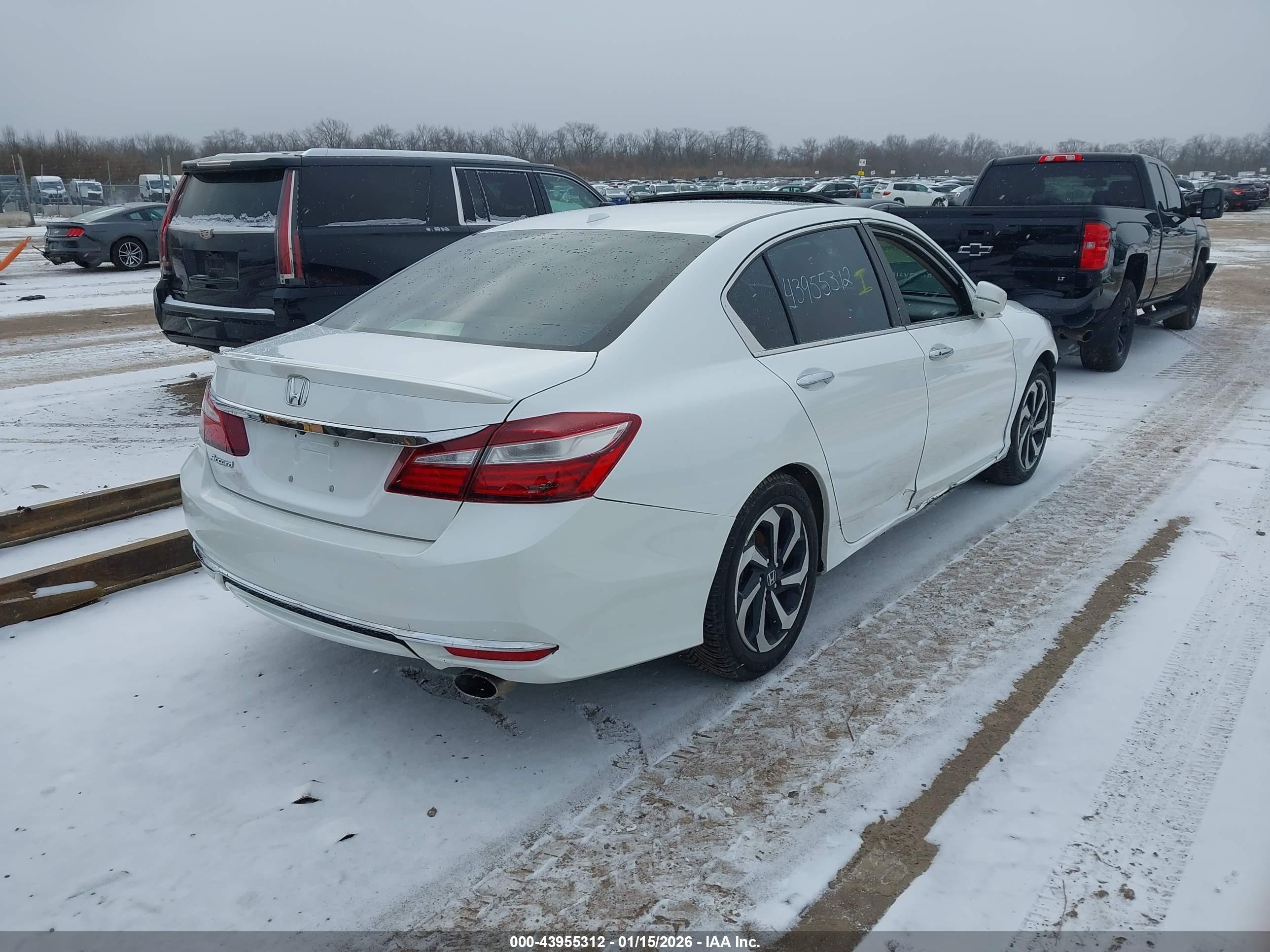 HONDA ACCORD image 4