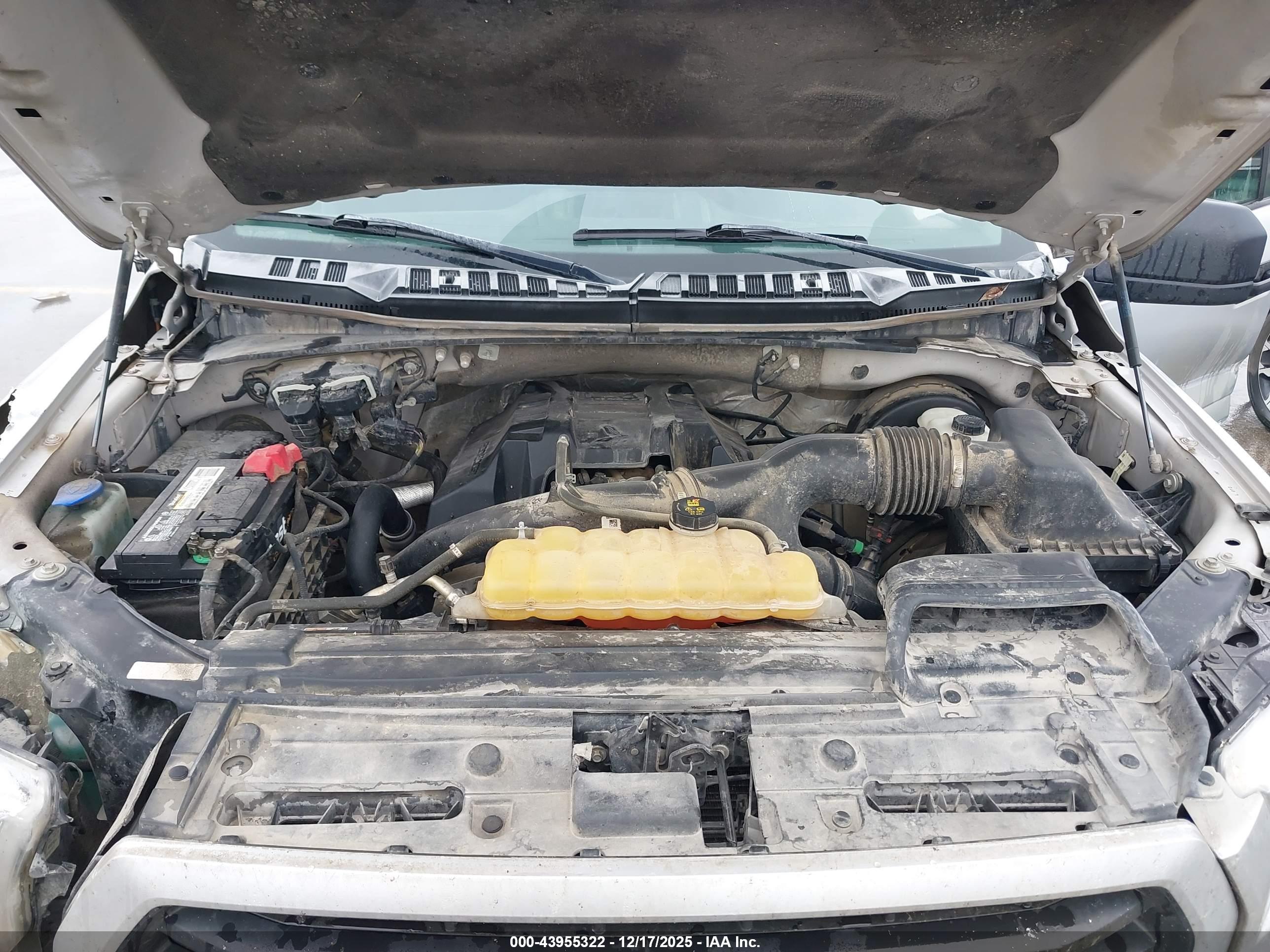 FORD F-150 image 10