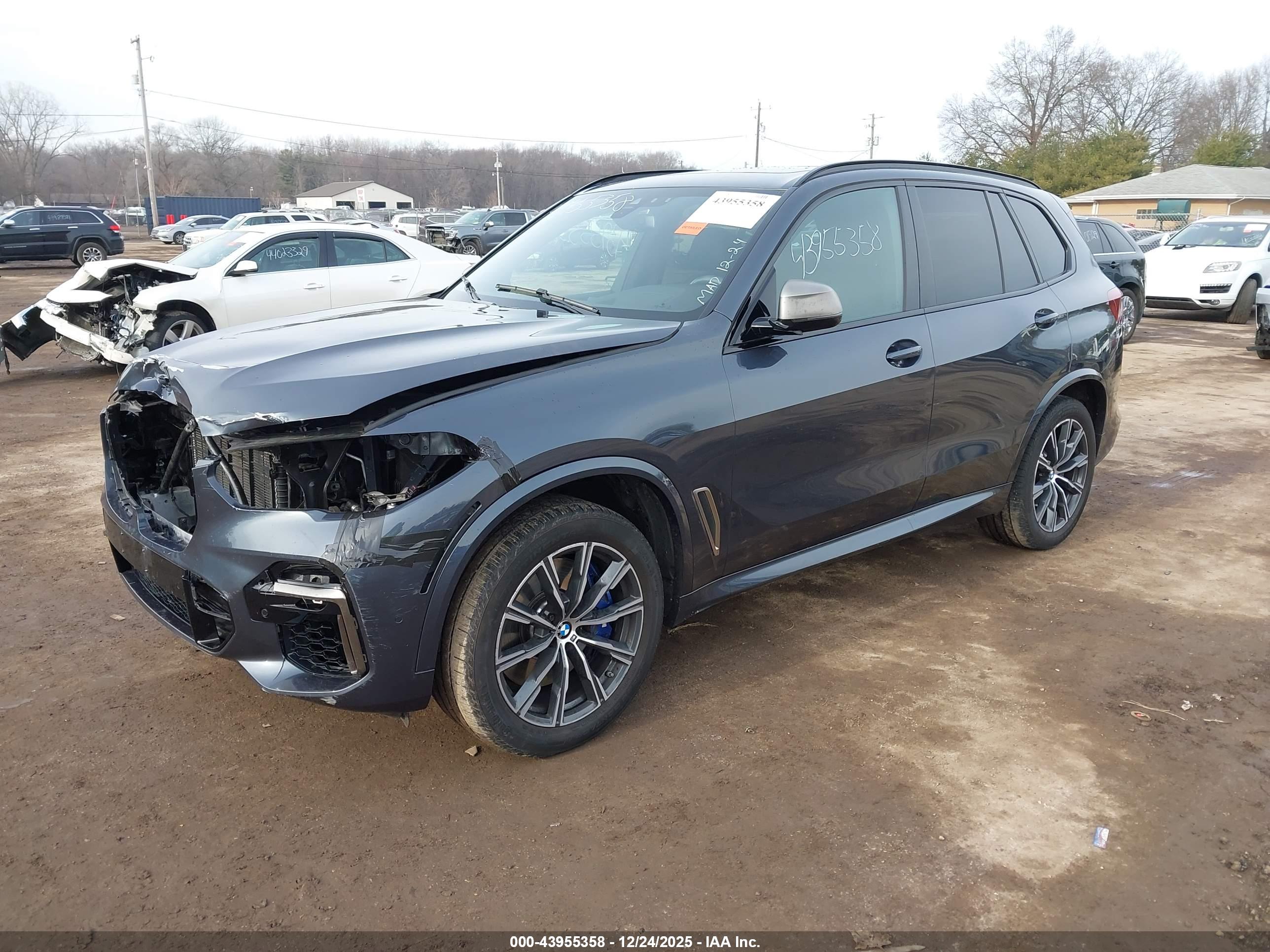 BMW X5 image 2