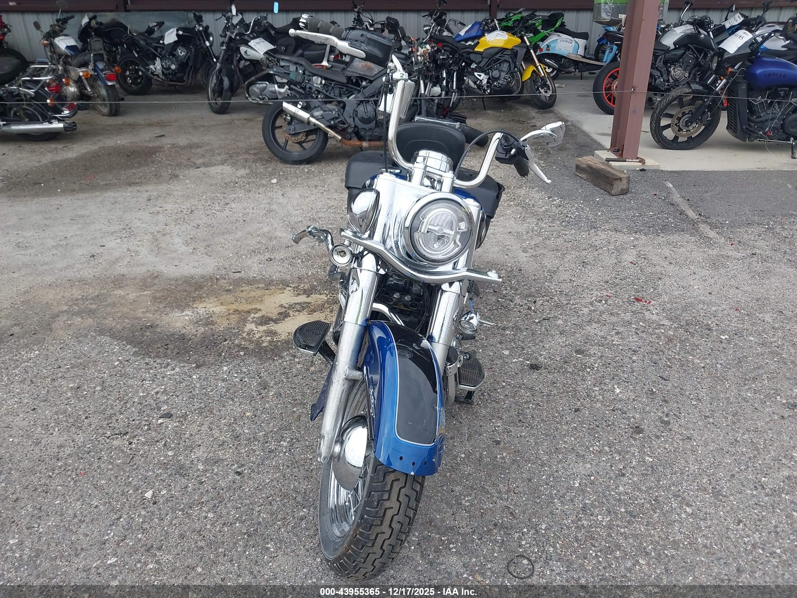 HARLEY-DAVIDSON FLHCS image 5