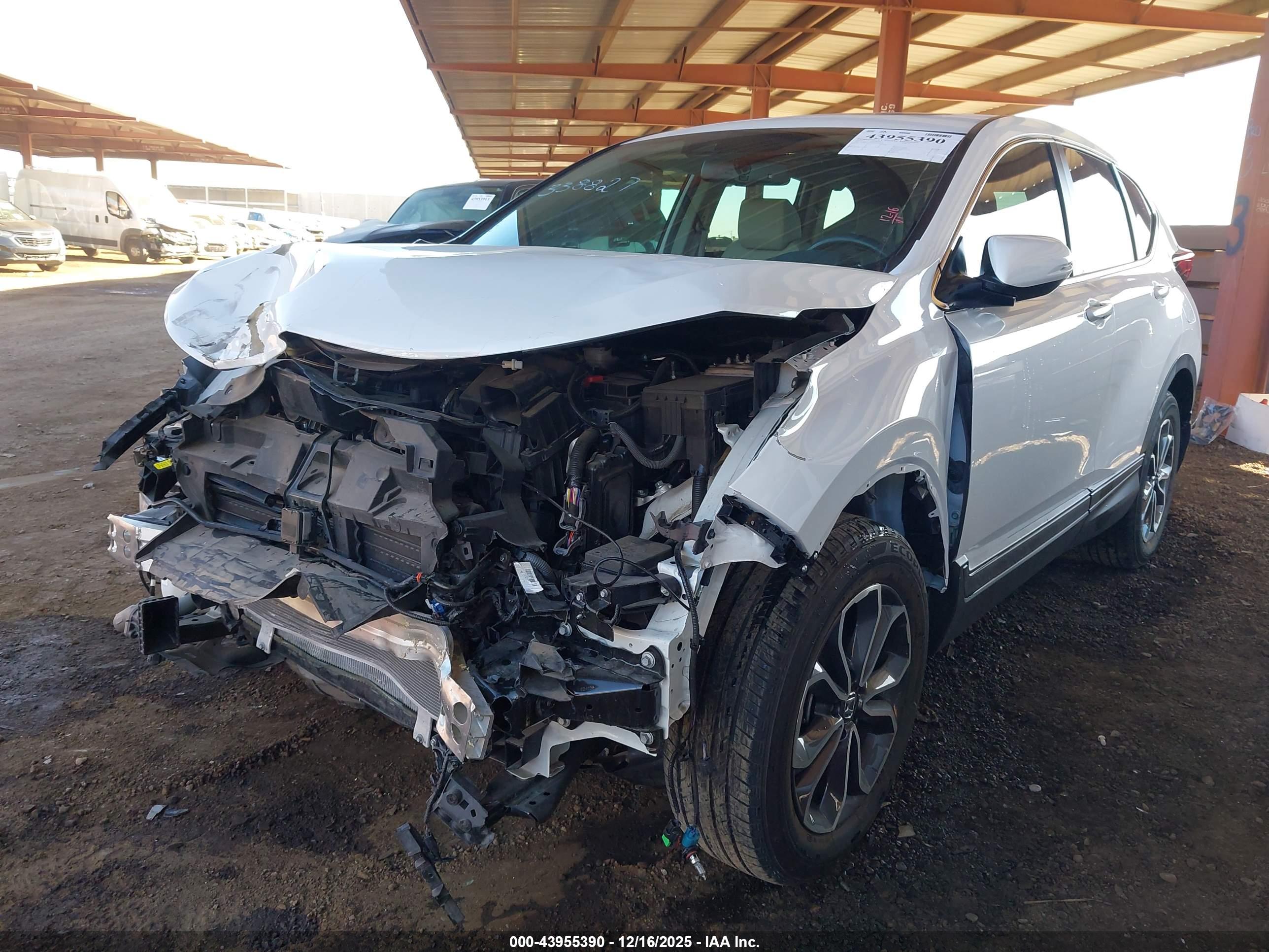 HONDA CR-V image 6