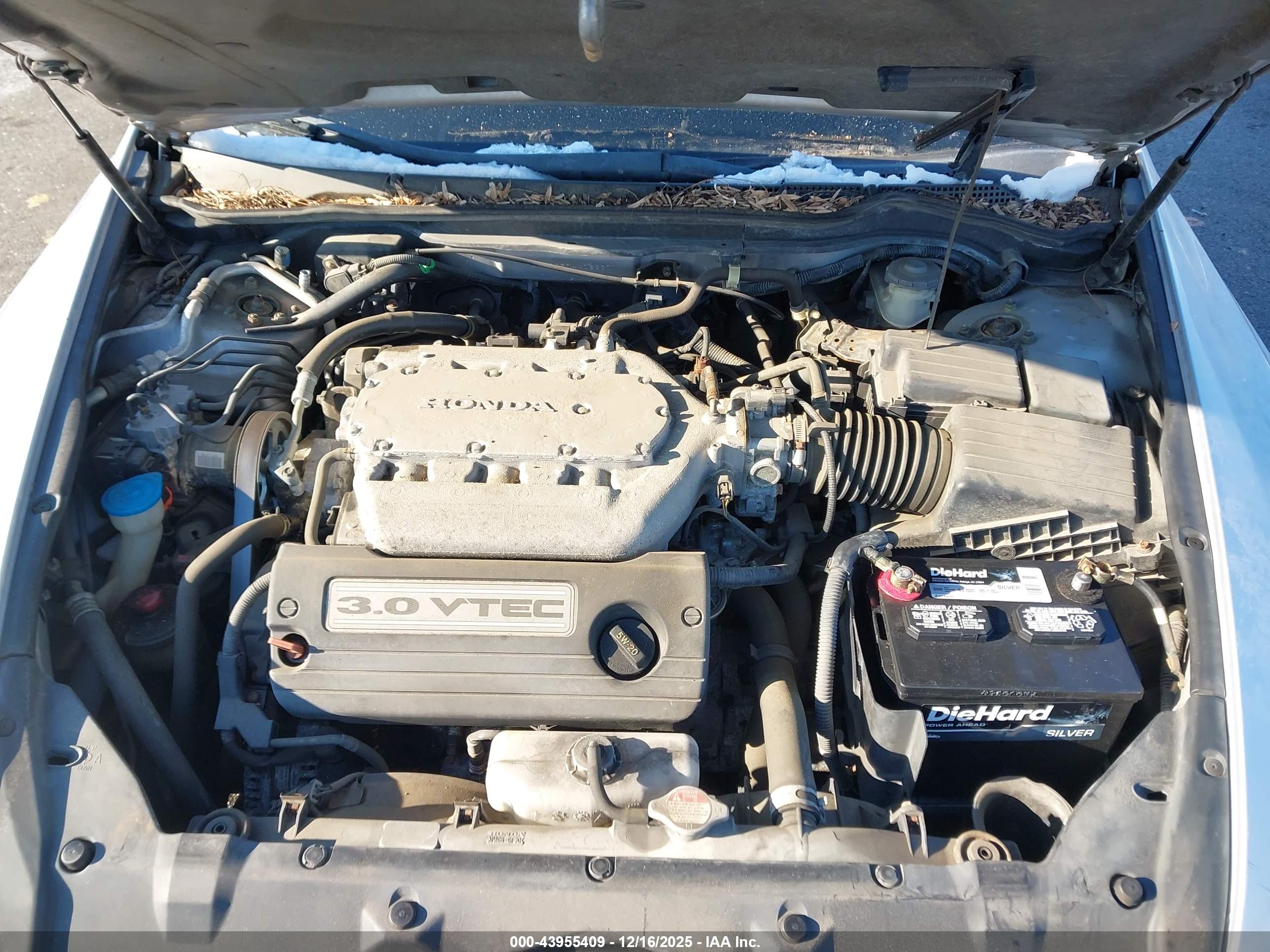 HONDA ACCORD image 10