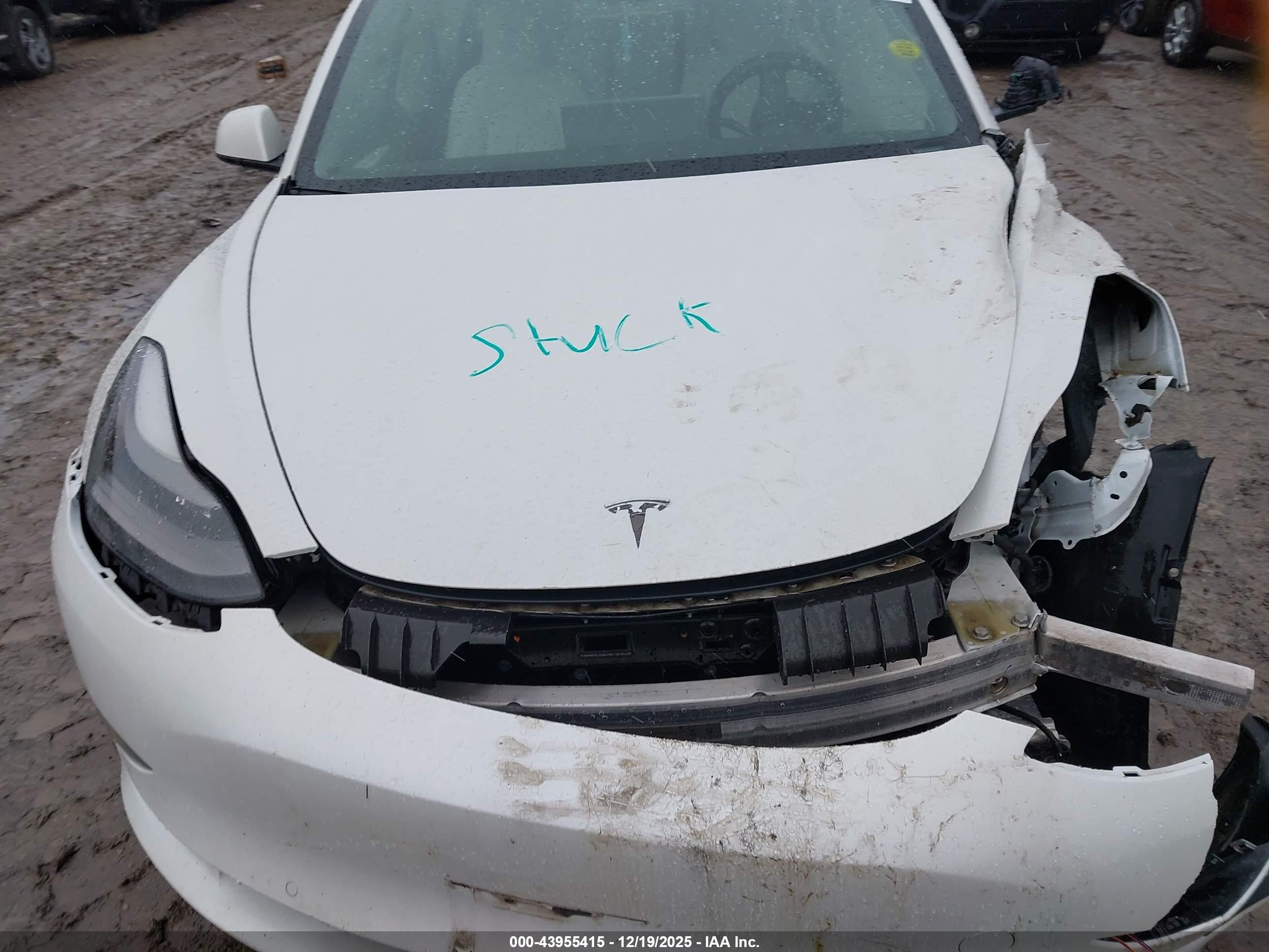 TESLA MODEL image 10